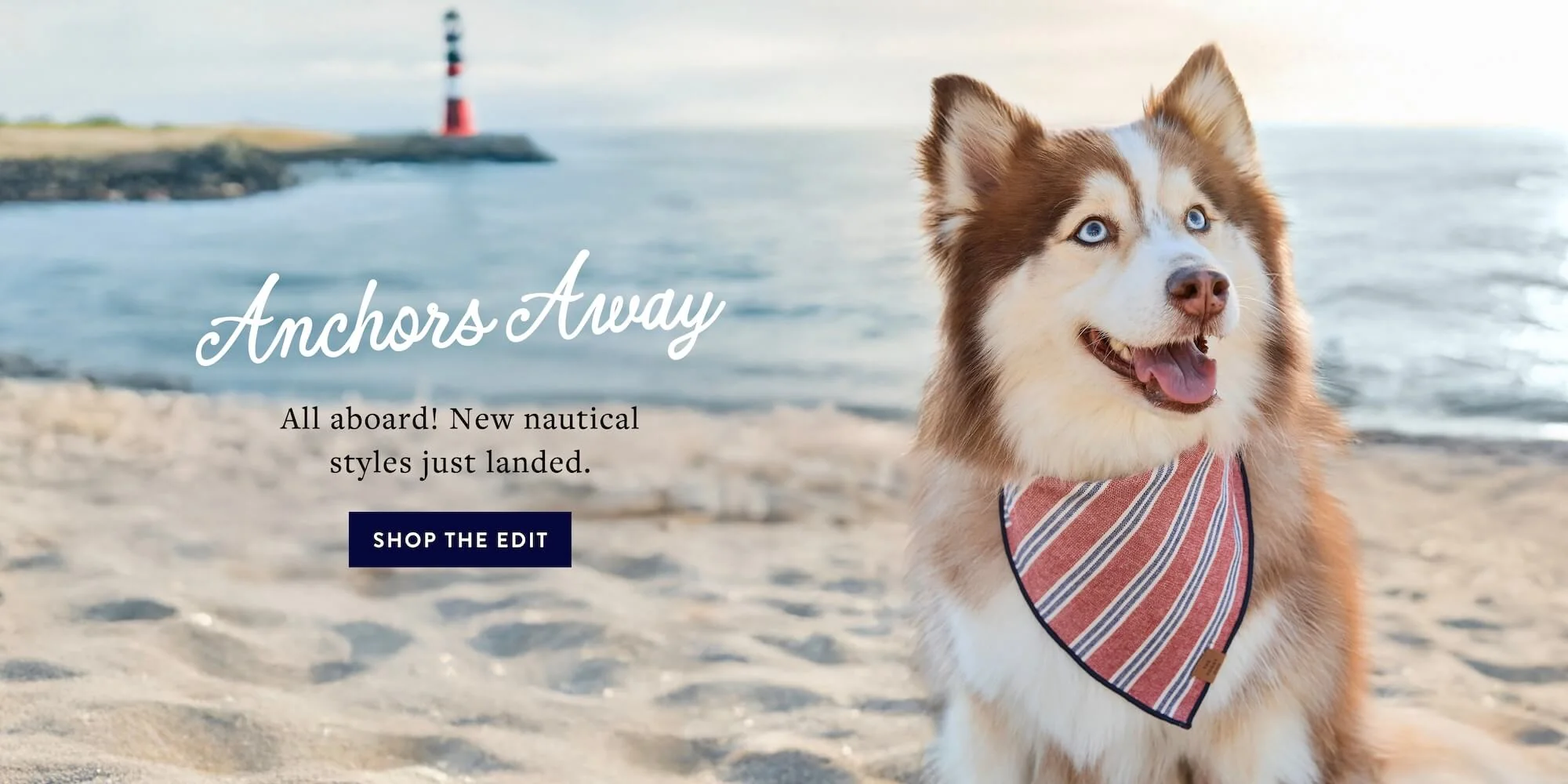 Modern Style for Modern Paws