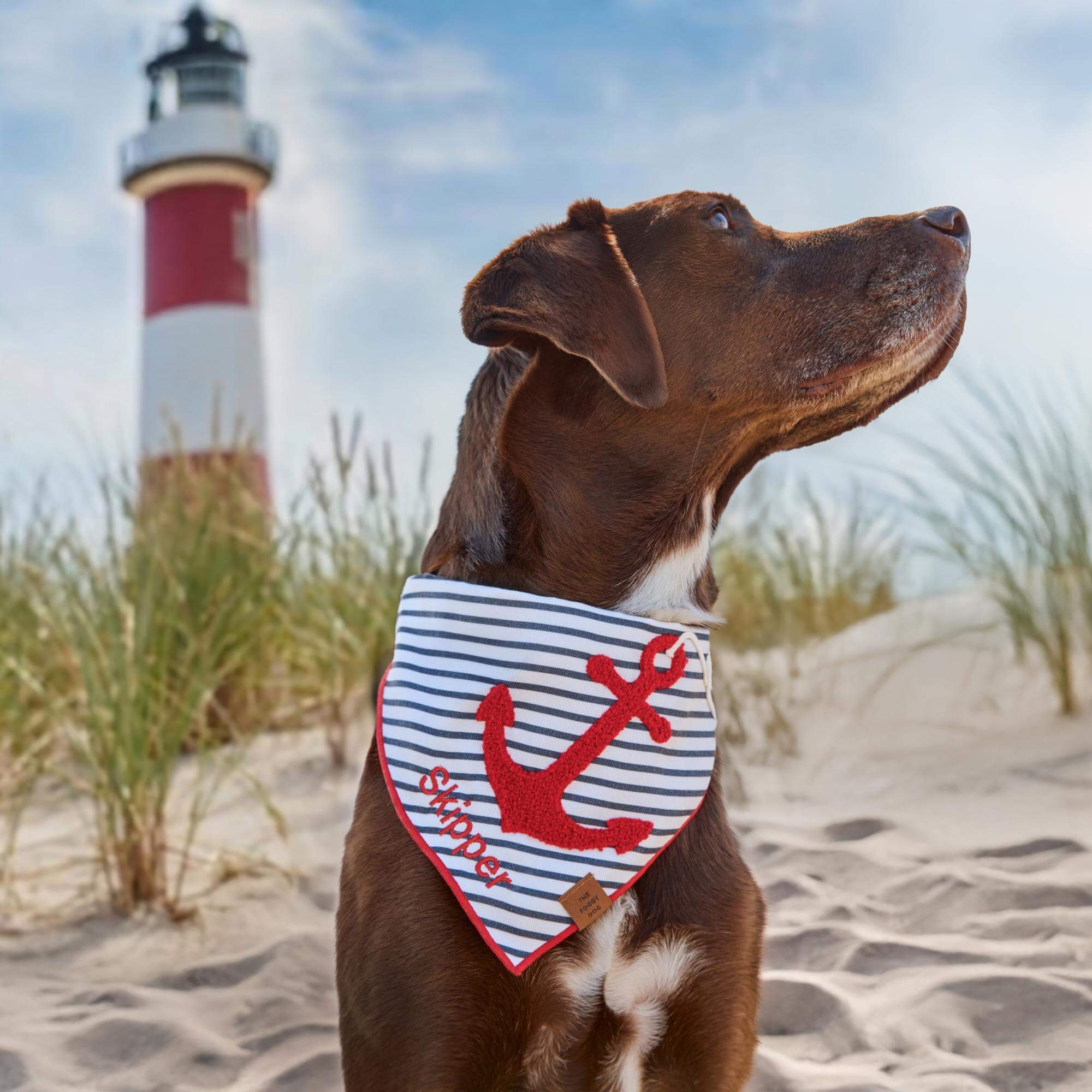 Anchor Applique Dog Bandana - Image 4
