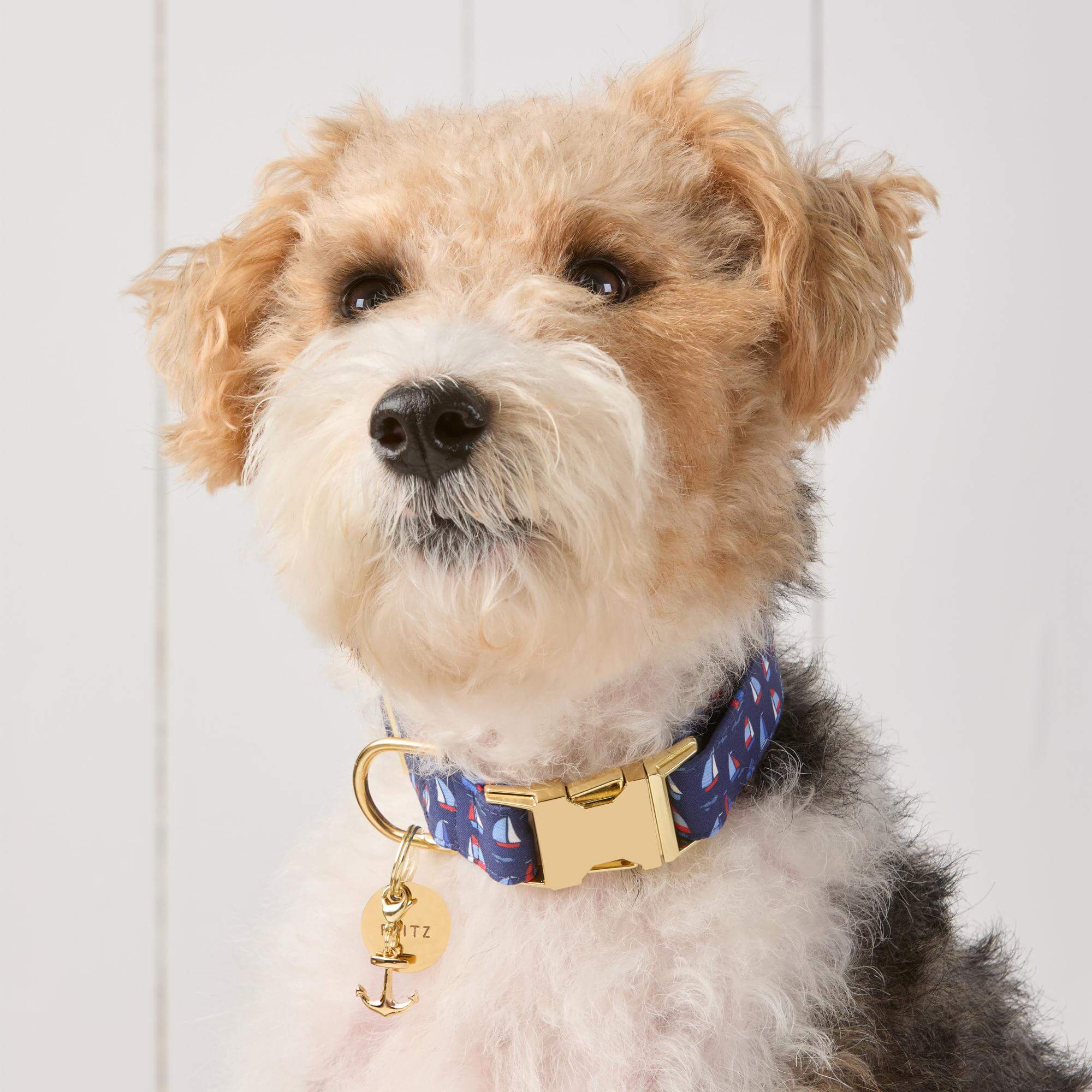 Anchor Collar Charm - Image 3