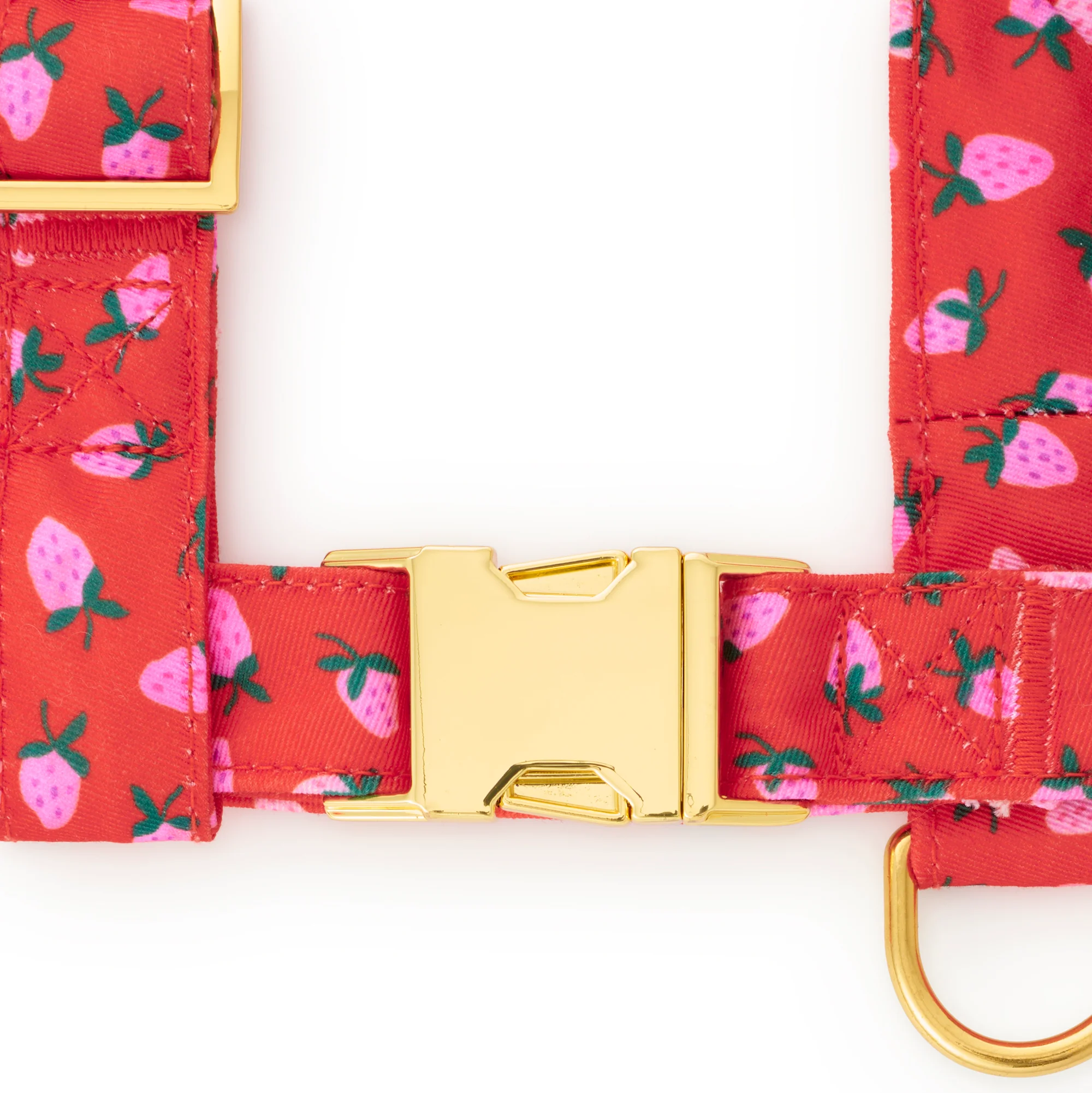 Berry Sweet Harness Walk Set - Image 3