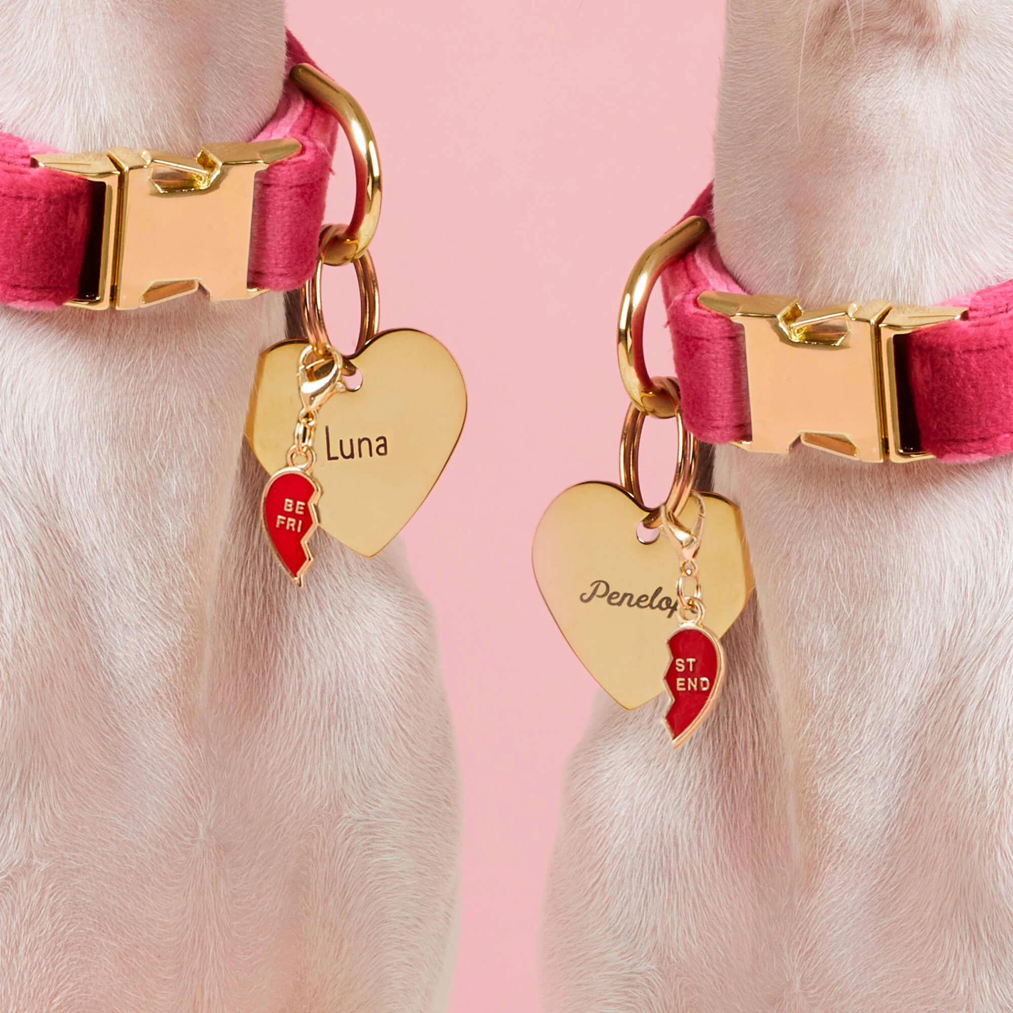 Heart Pet ID Tag - Image 10