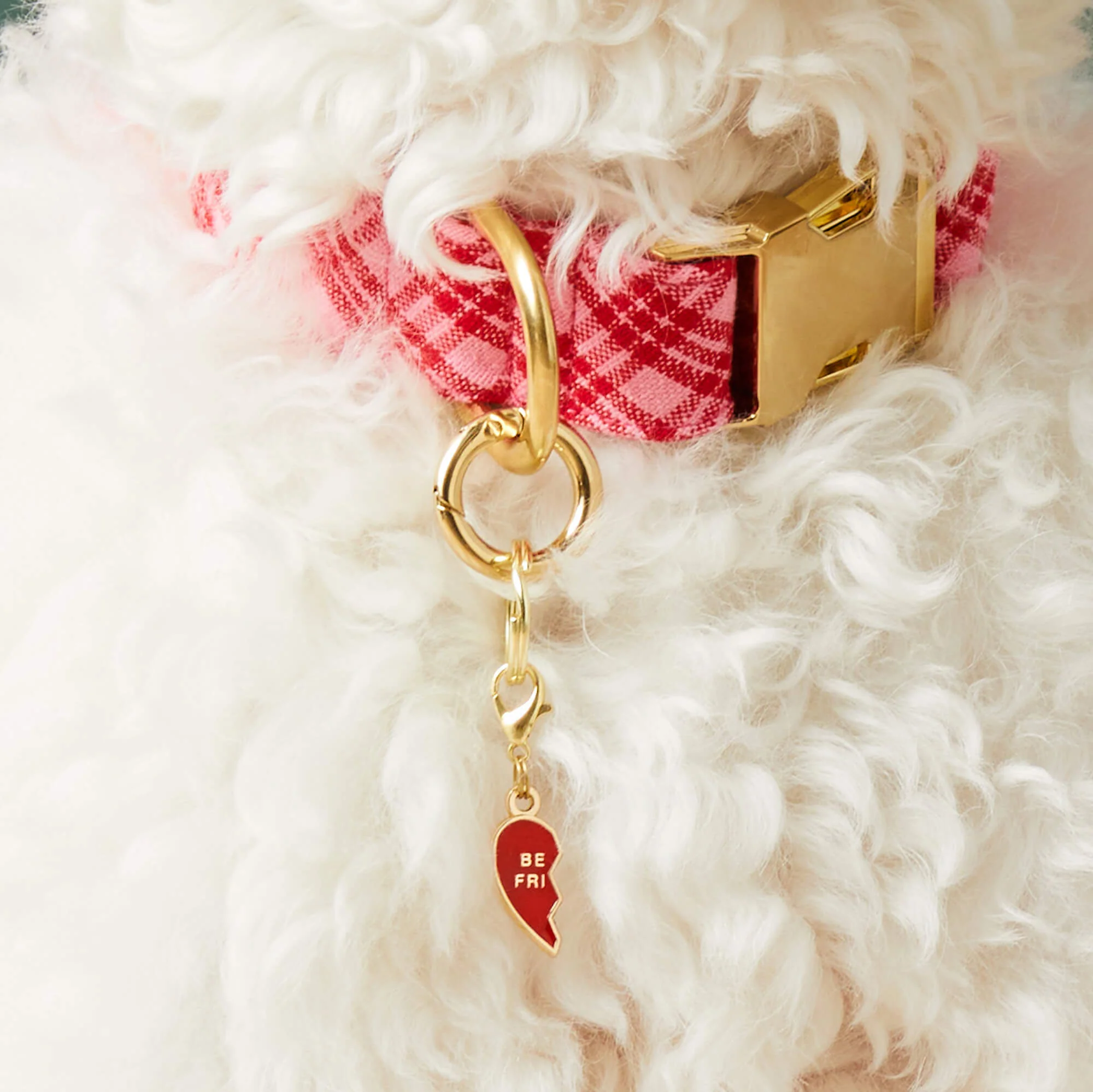 BFF Hearts Collar Charm Set - Image 3