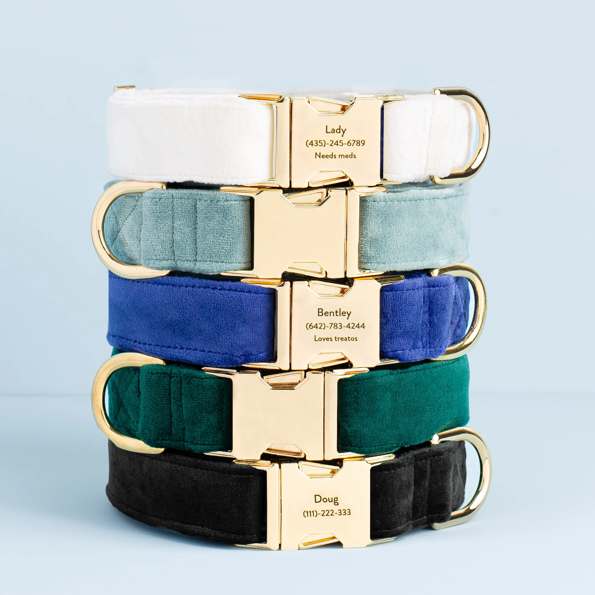 Black Velvet Dog Collar - Image 5