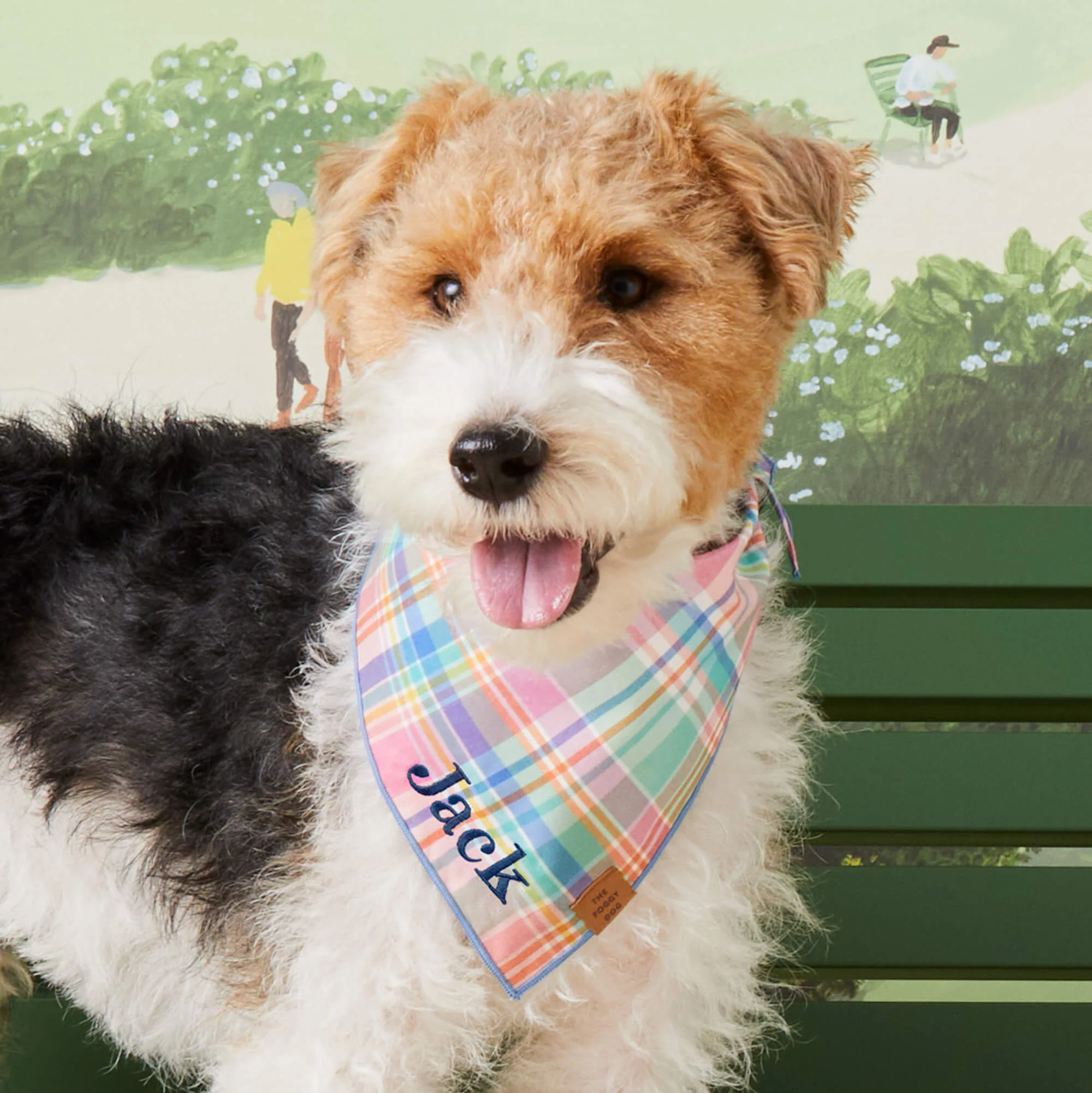 Blooming Plaid Dog Bandana - Image 3
