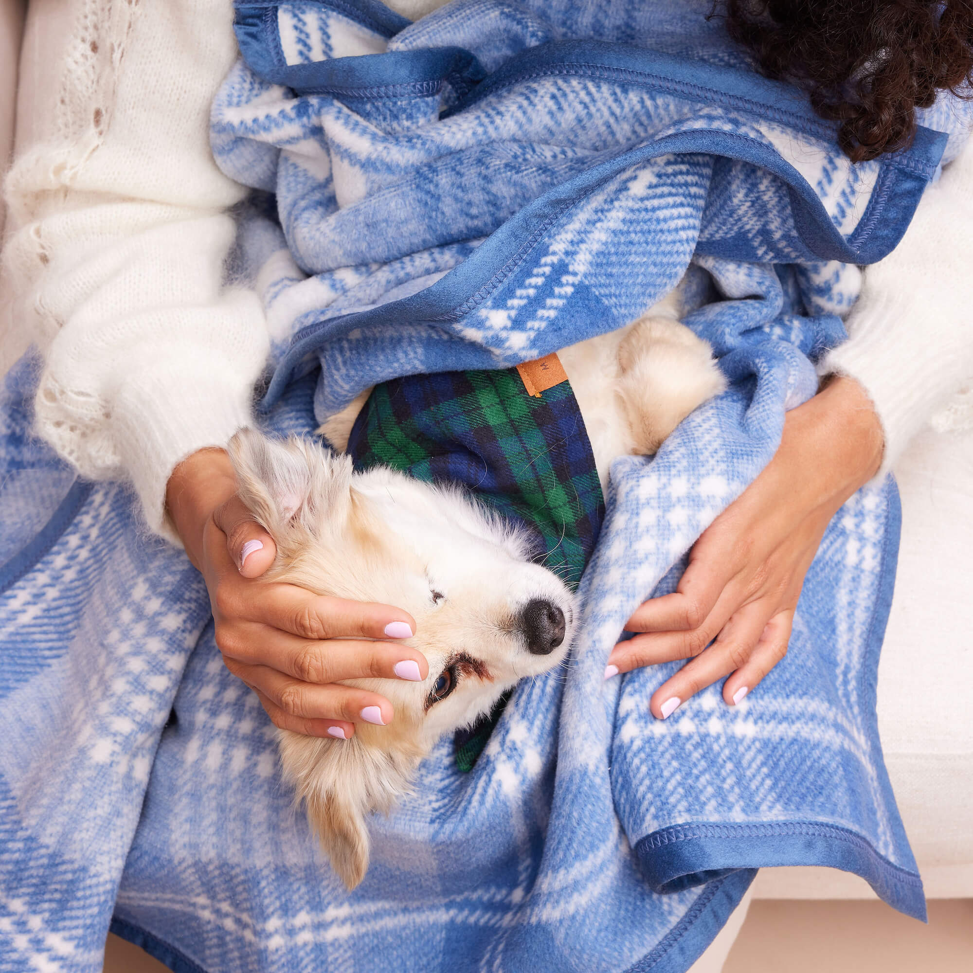 ChappyWrap x TFD Blue Frost Plaid Dog Blanket - Image 11