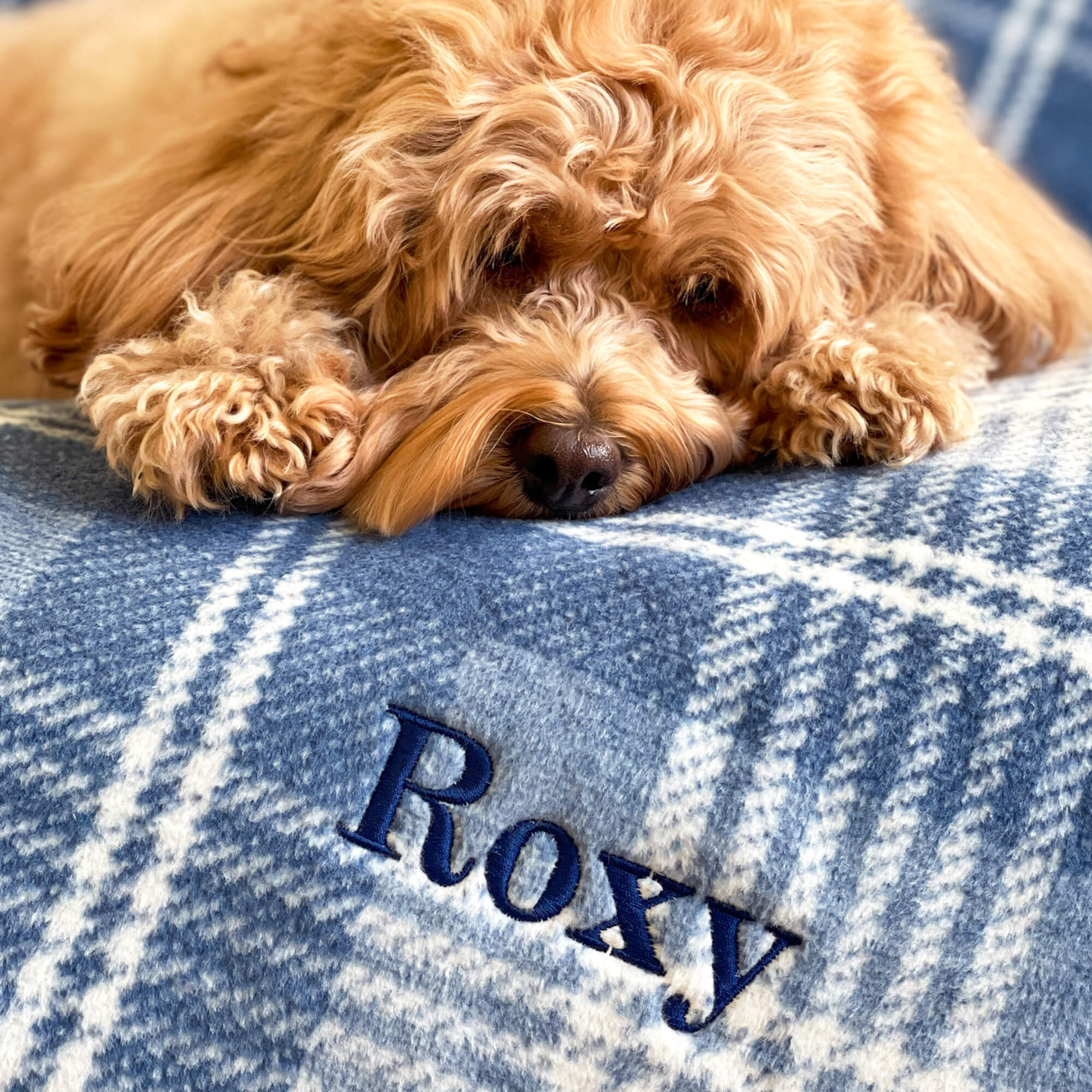 ChappyWrap Harborview Herringbone Blush Dog Blanket - Image 7