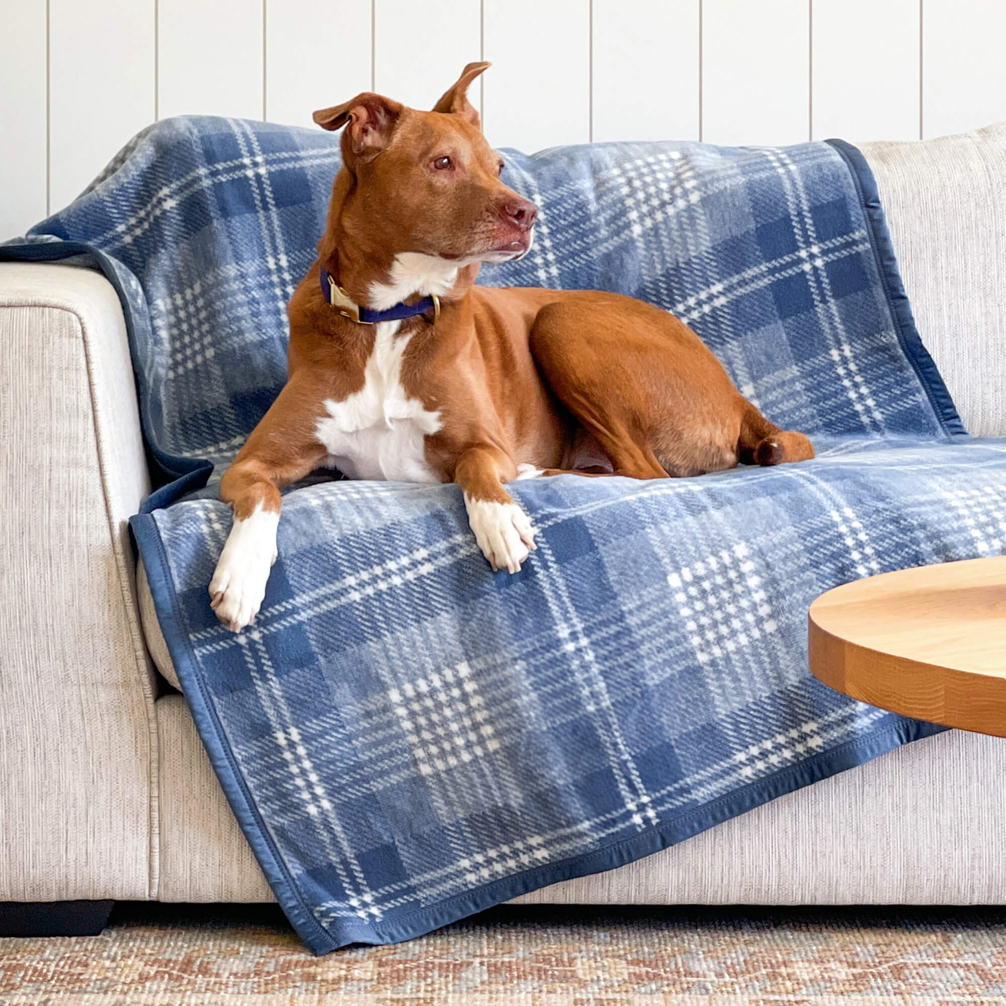 ChappyWrap Harborview Herringbone Blush Dog Blanket - Image 8