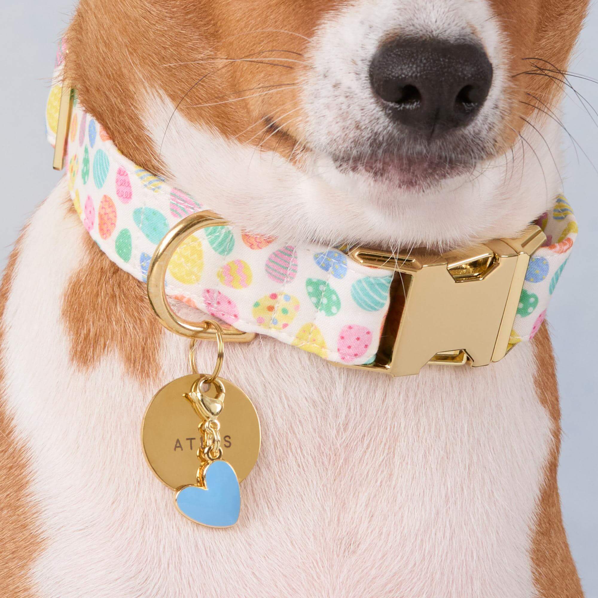Blue Heart Collar Charm - Image 2
