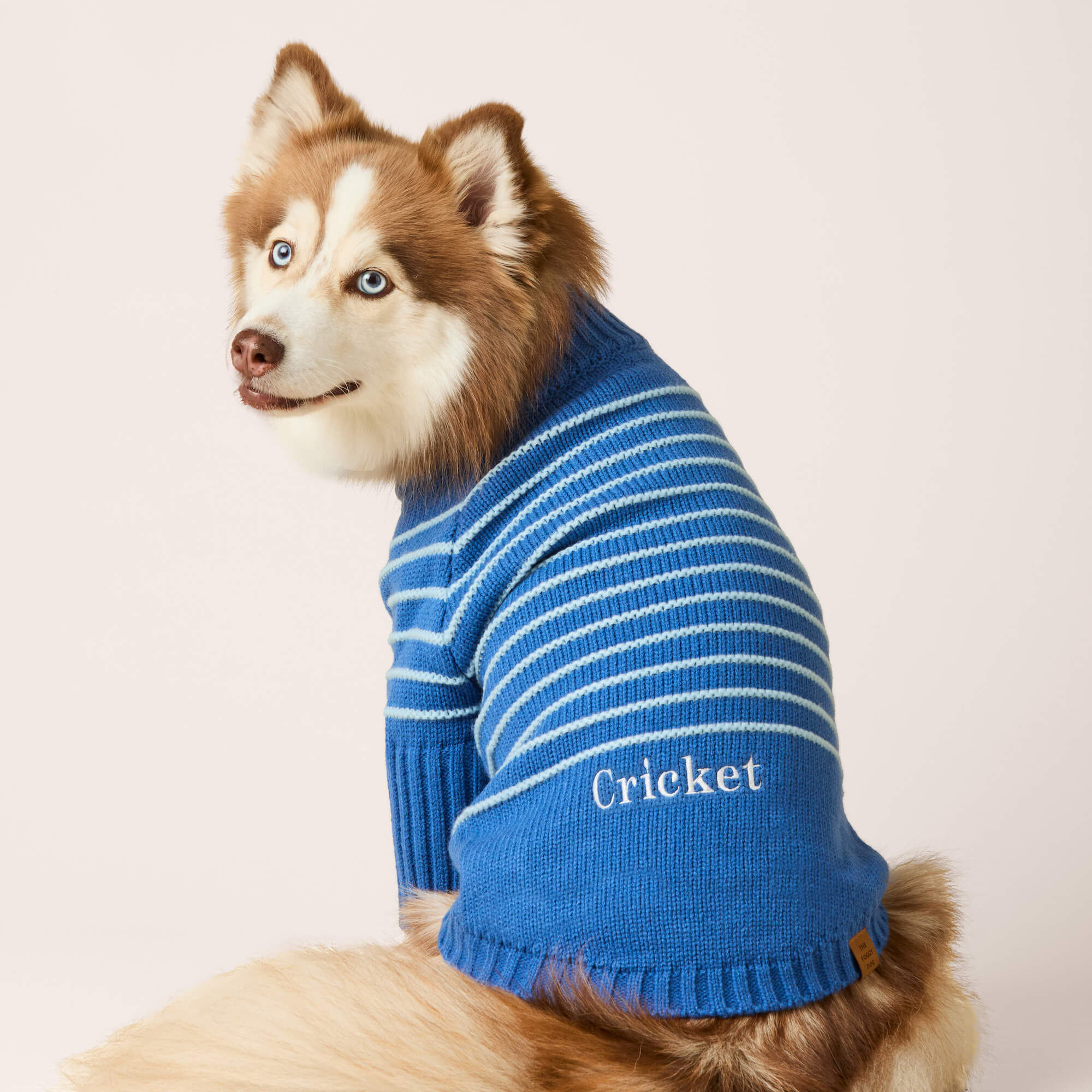 Blue Stripe Quarter-Zip Dog Sweater - Image 2