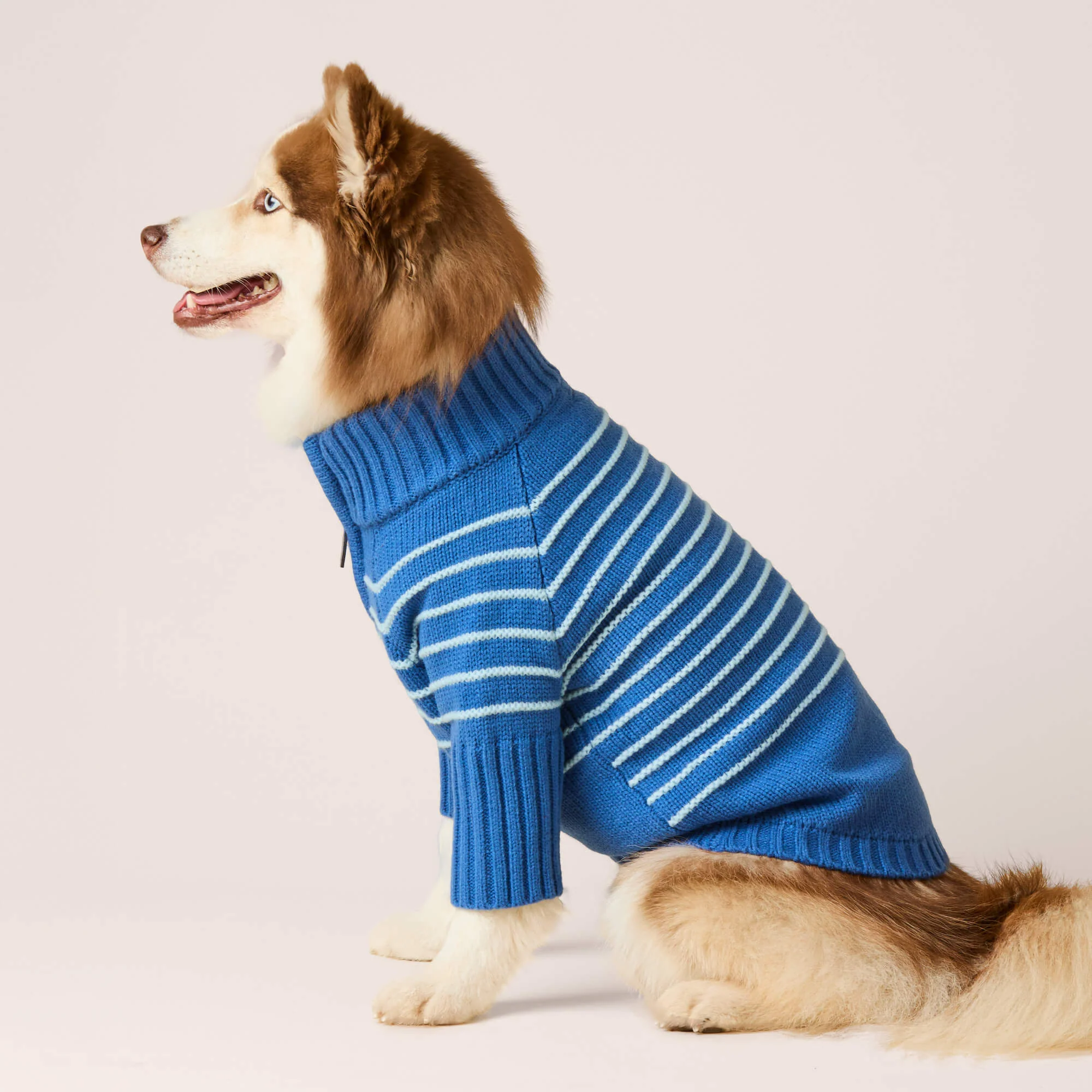 Blue Stripe Quarter-Zip Dog Sweater - Image 4