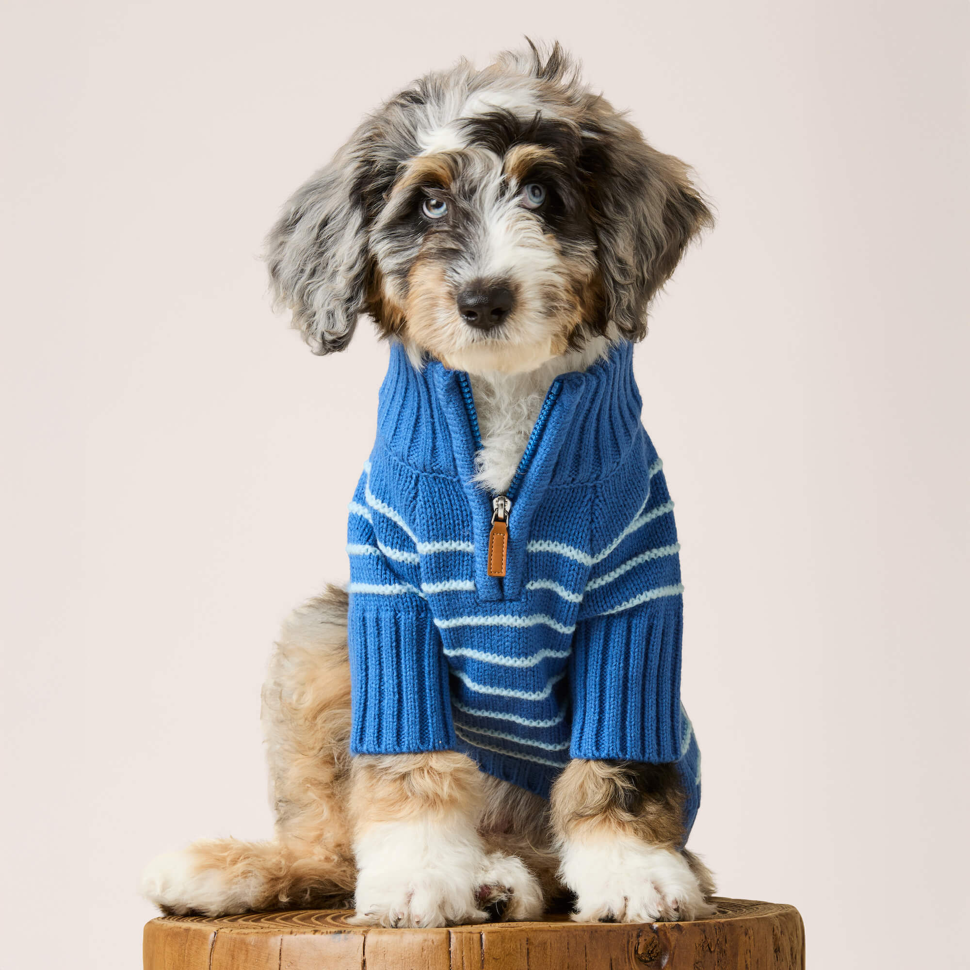 Blue Stripe Quarter-Zip Dog Sweater - Image 5