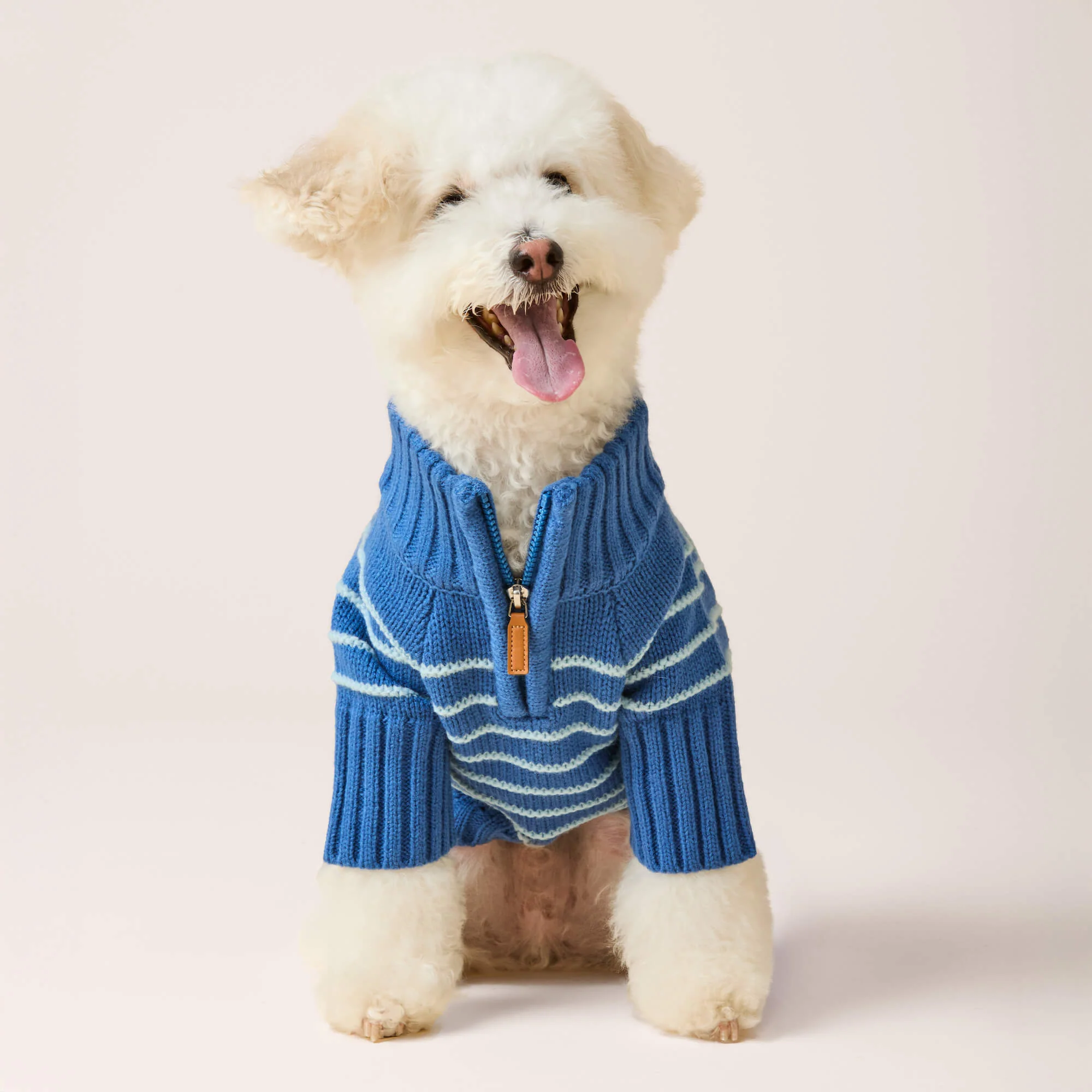 Blue Stripe Quarter-Zip Dog Sweater - Image 6