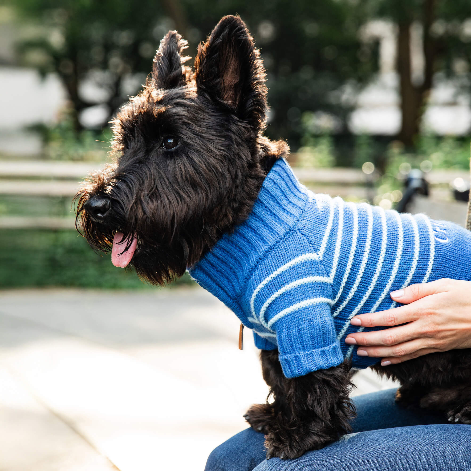 Blue Stripe Quarter-Zip Dog Sweater - Image 7