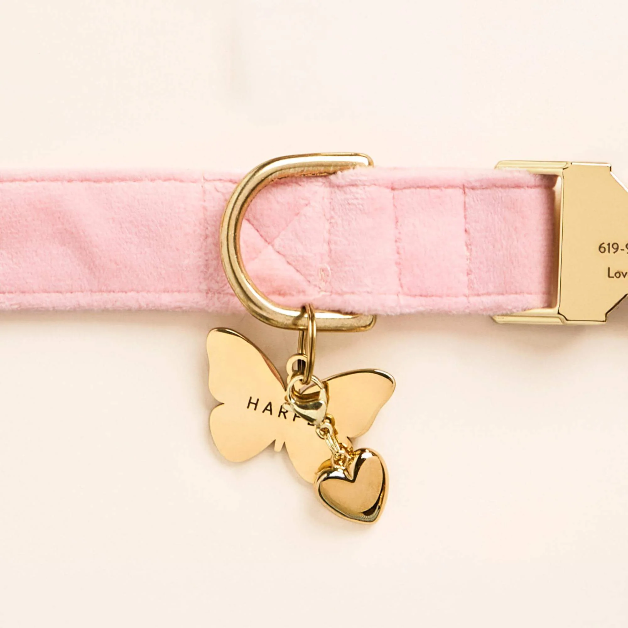 Blush Pink Velvet Dog Collar - Image 14