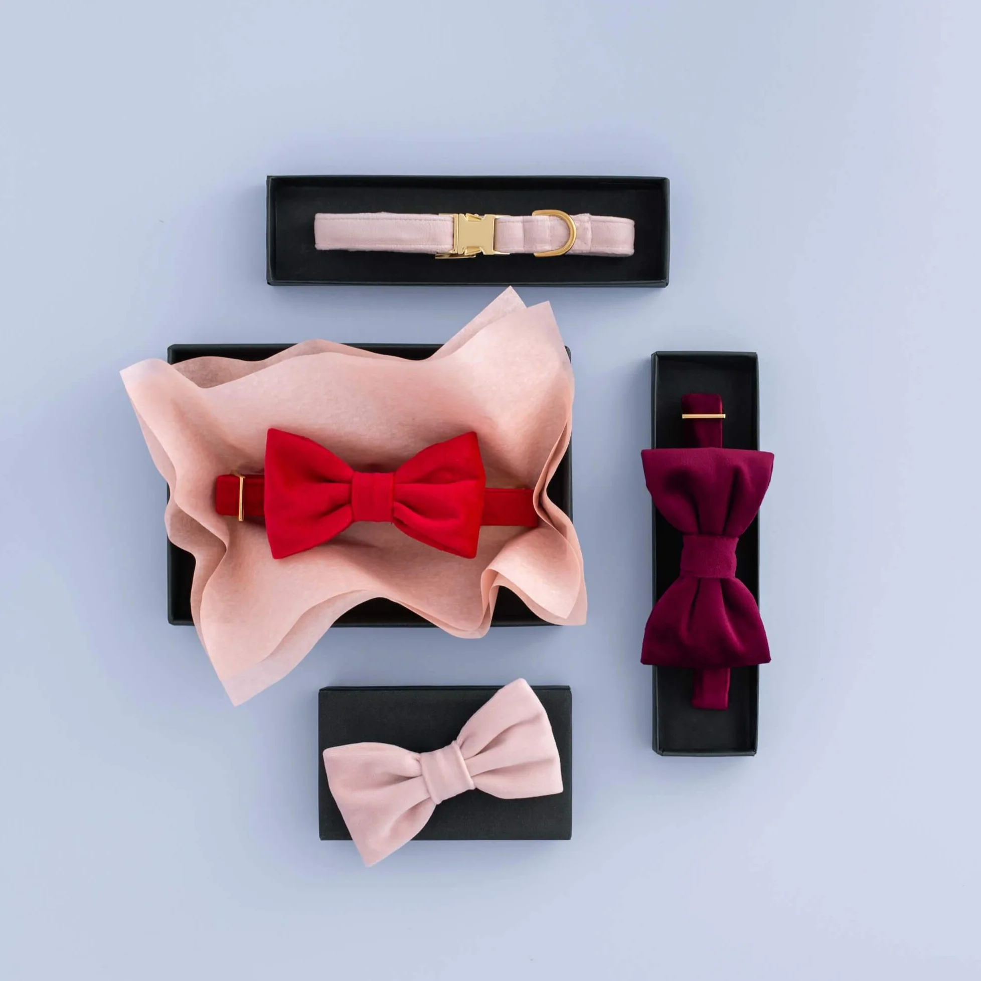 Blush Pink Velvet Lady Bow Collar - Image 8