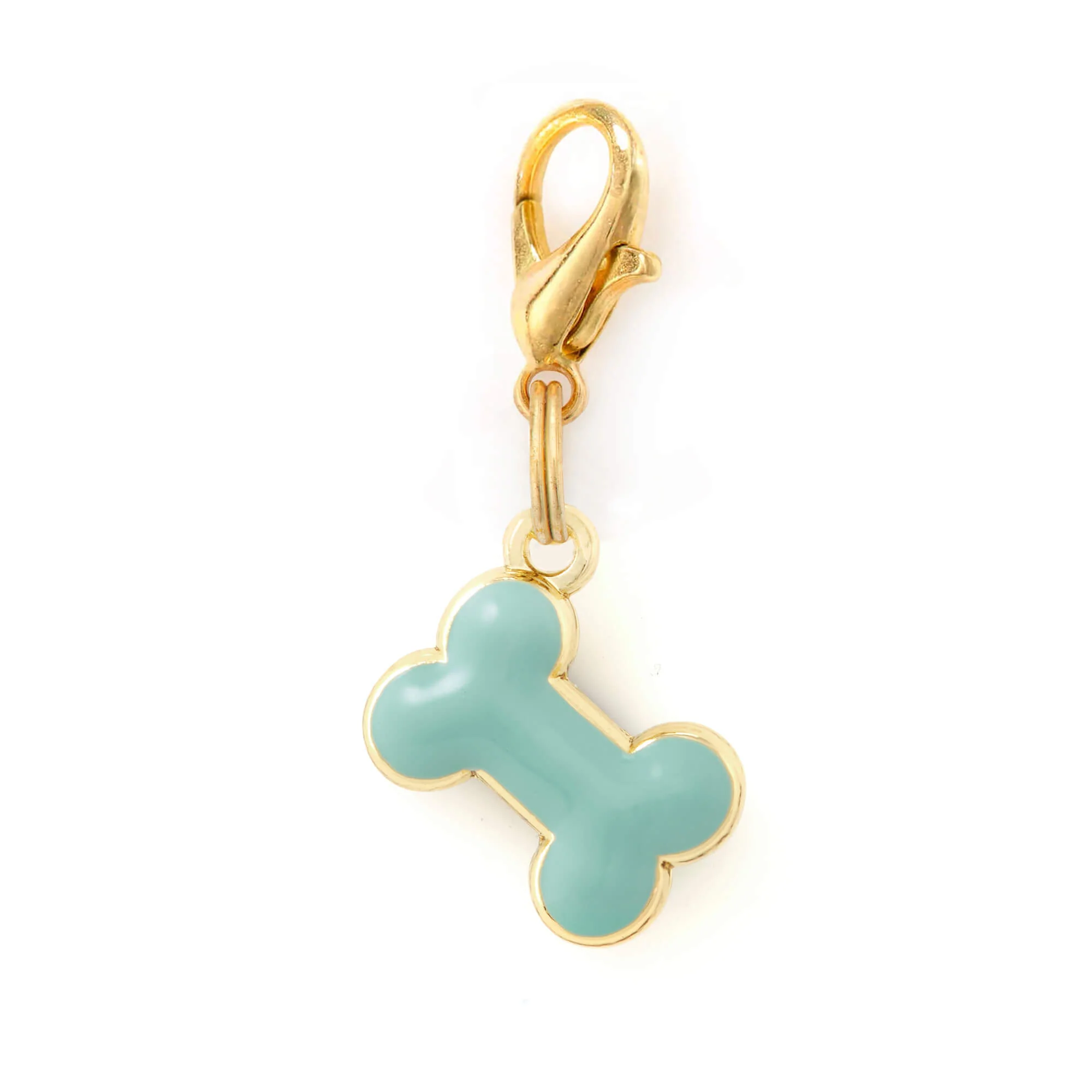 Bone Collar Charm