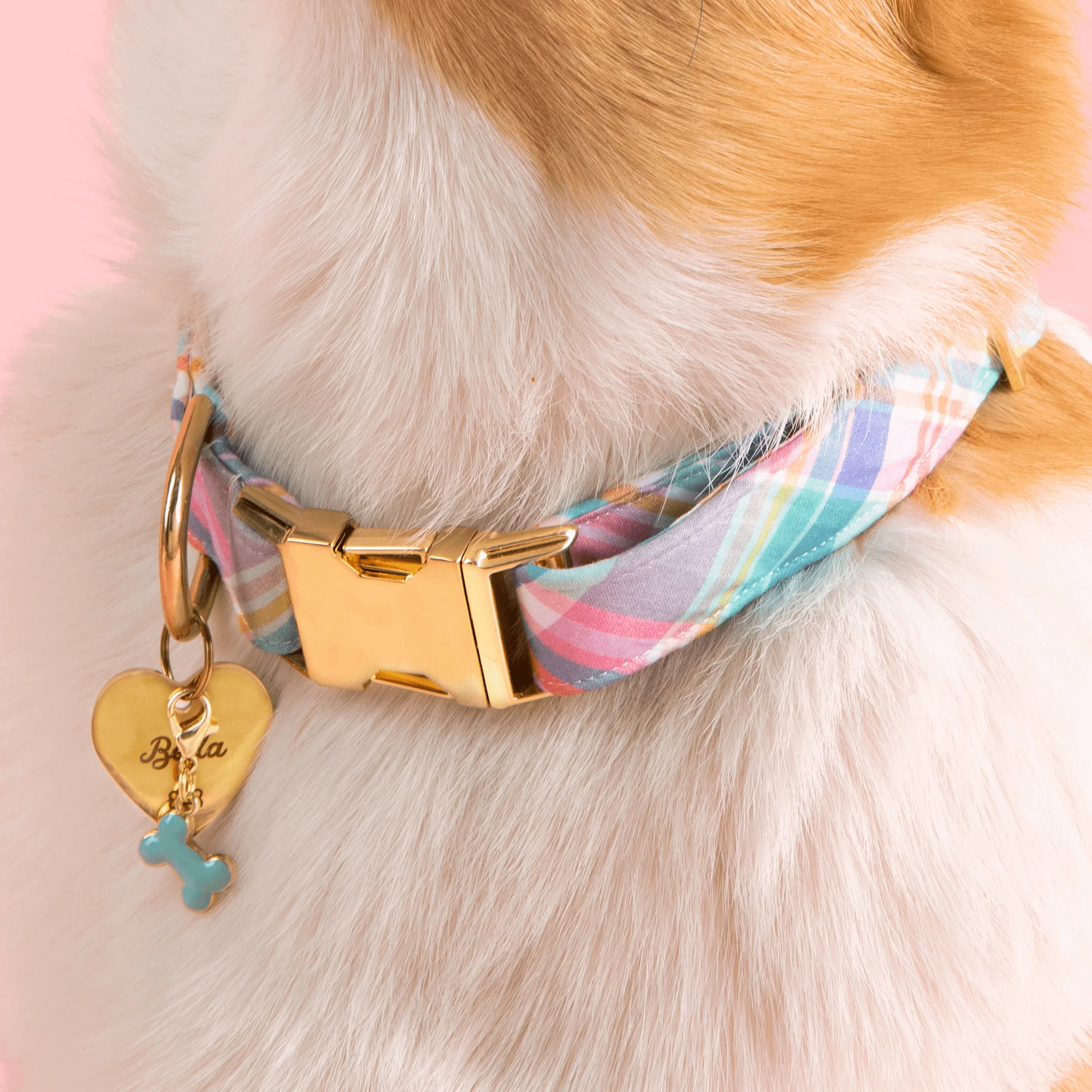Bone Collar Charm - Image 2