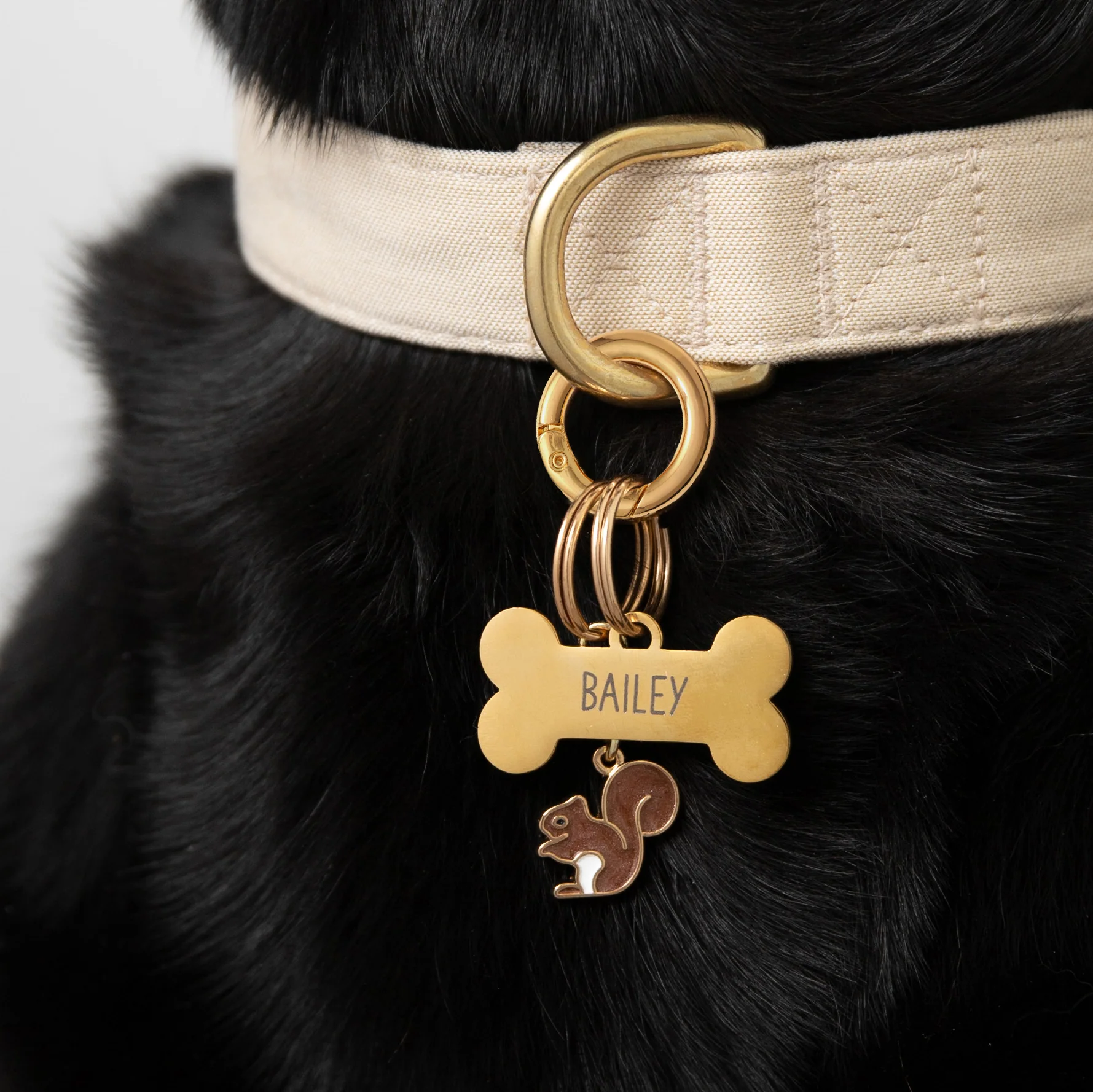 Bone Pet ID Tag - Image 13