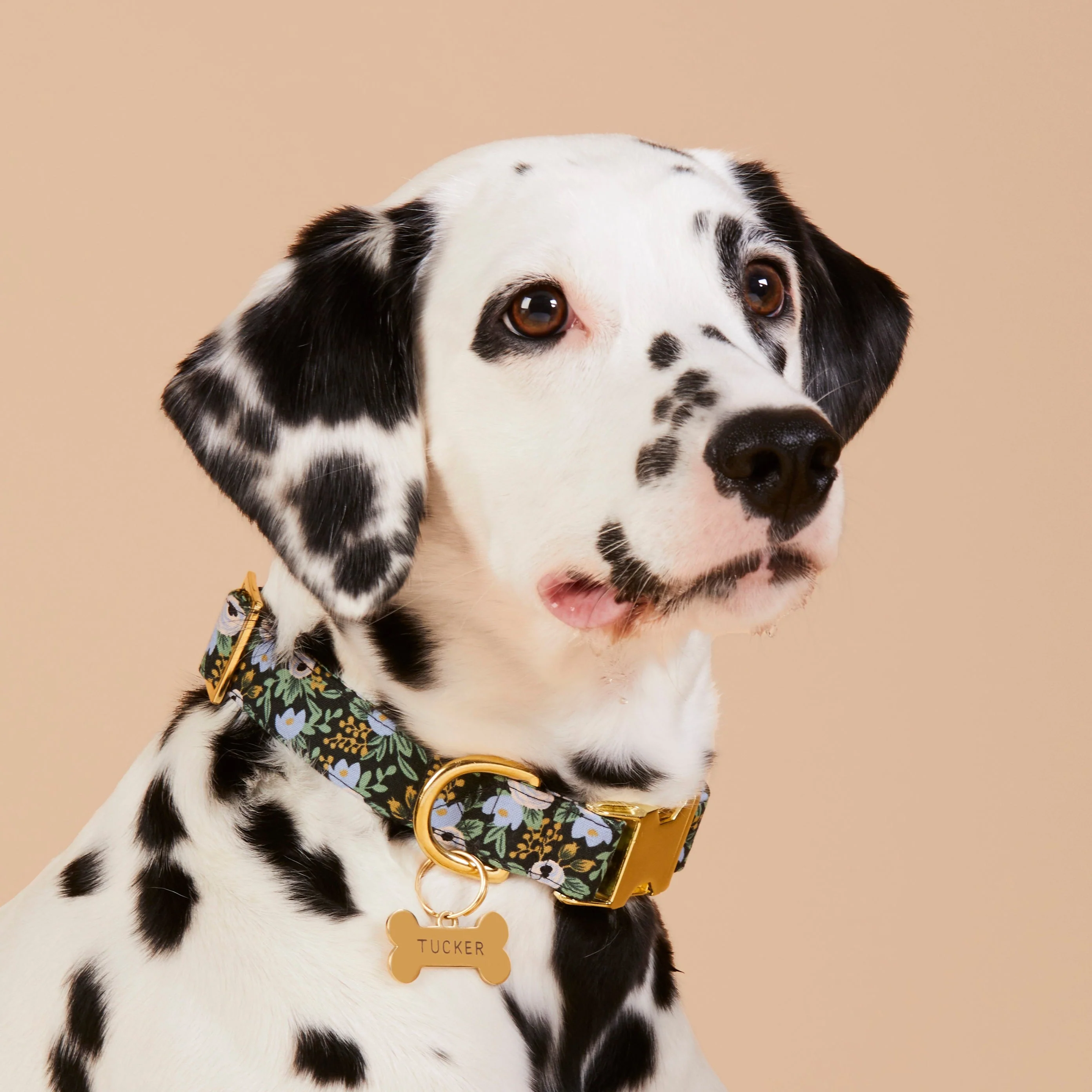 Bone Pet ID Tag - Image 14