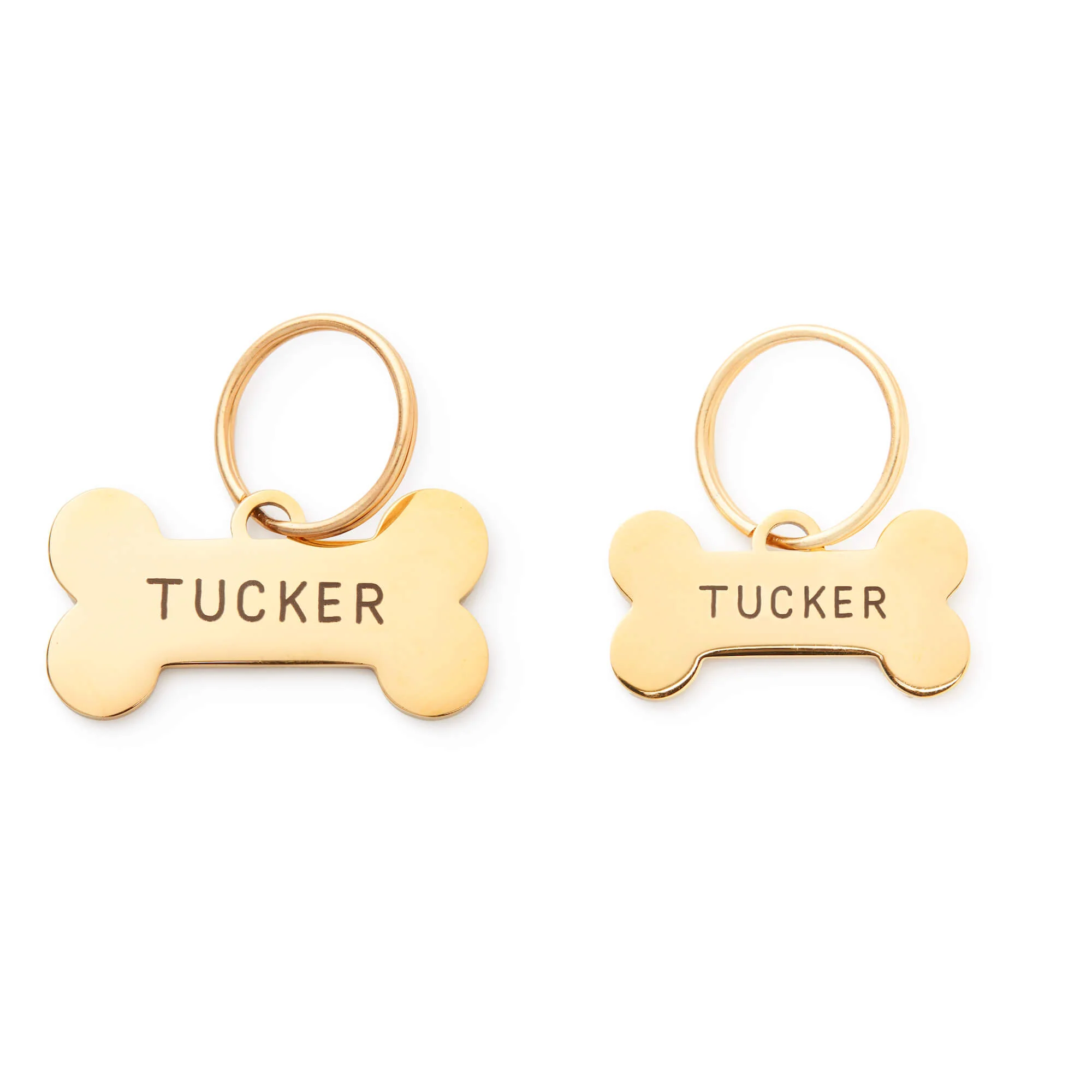 Bone Pet ID Tag - Image 3