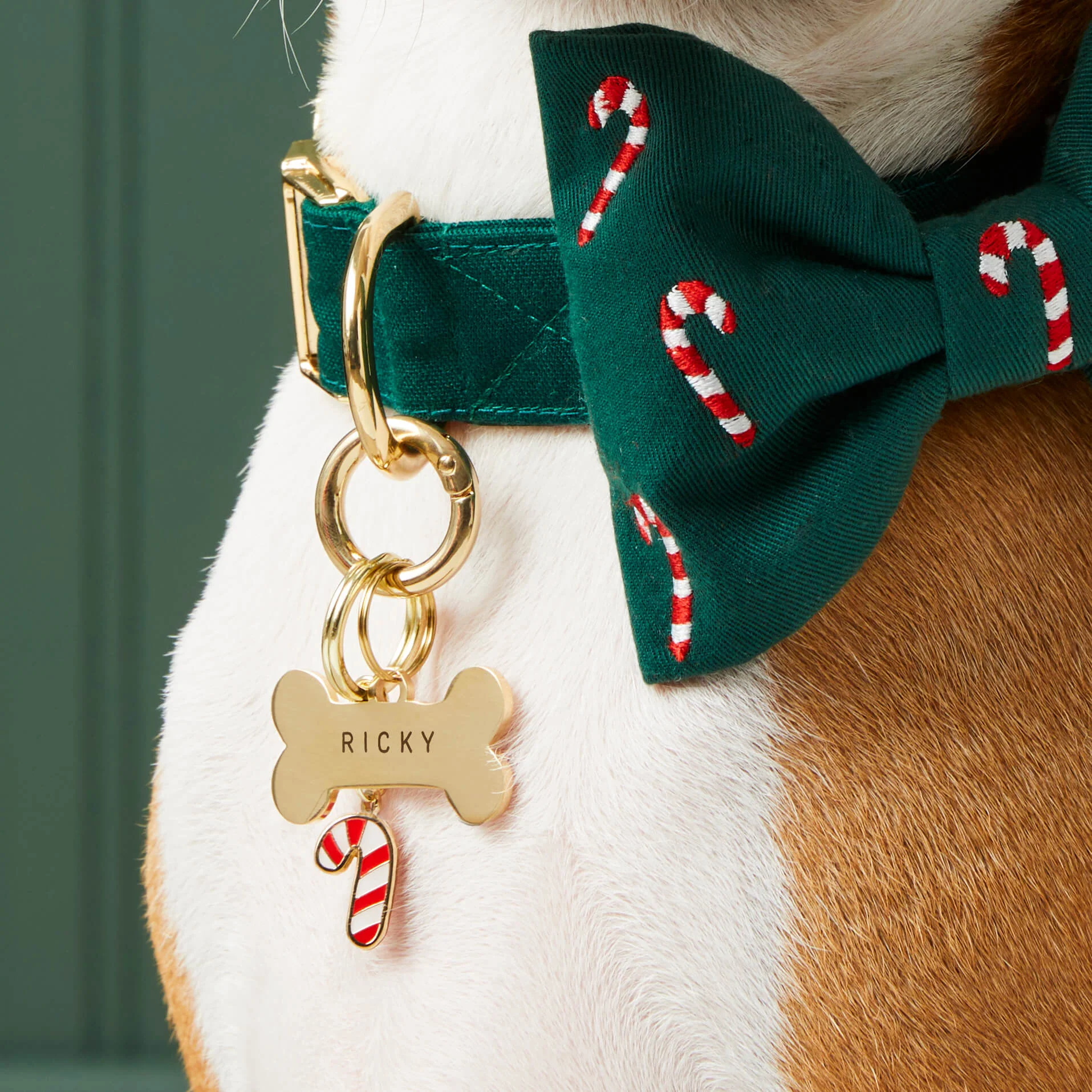 Bone Pet ID Tag - Image 5