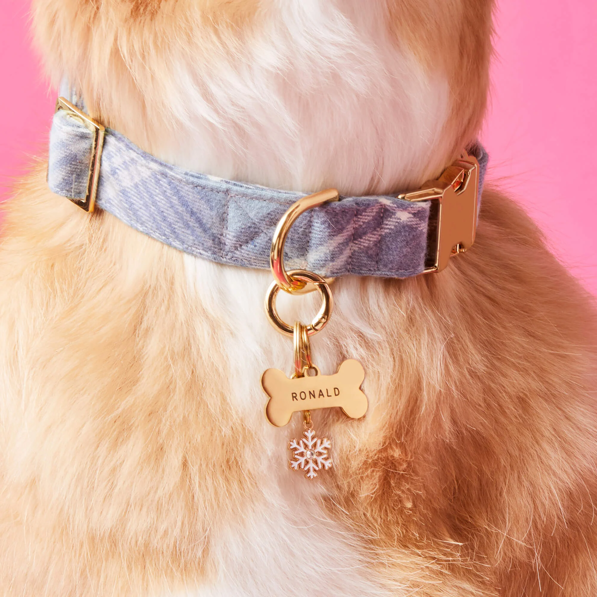 Bone Pet ID Tag - Image 6