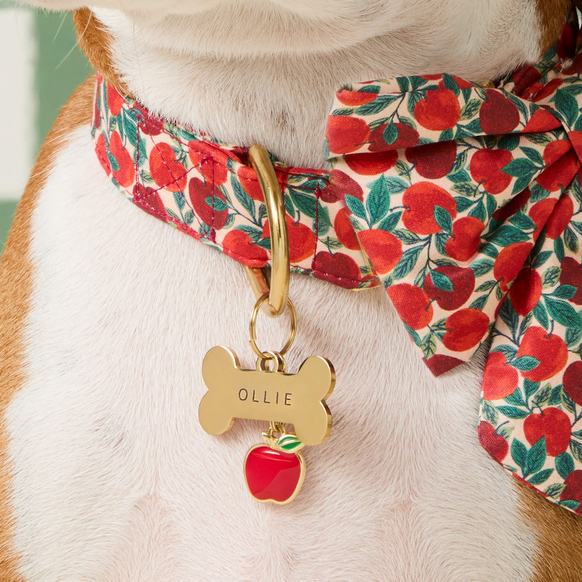 Bone Pet ID Tag - Image 7