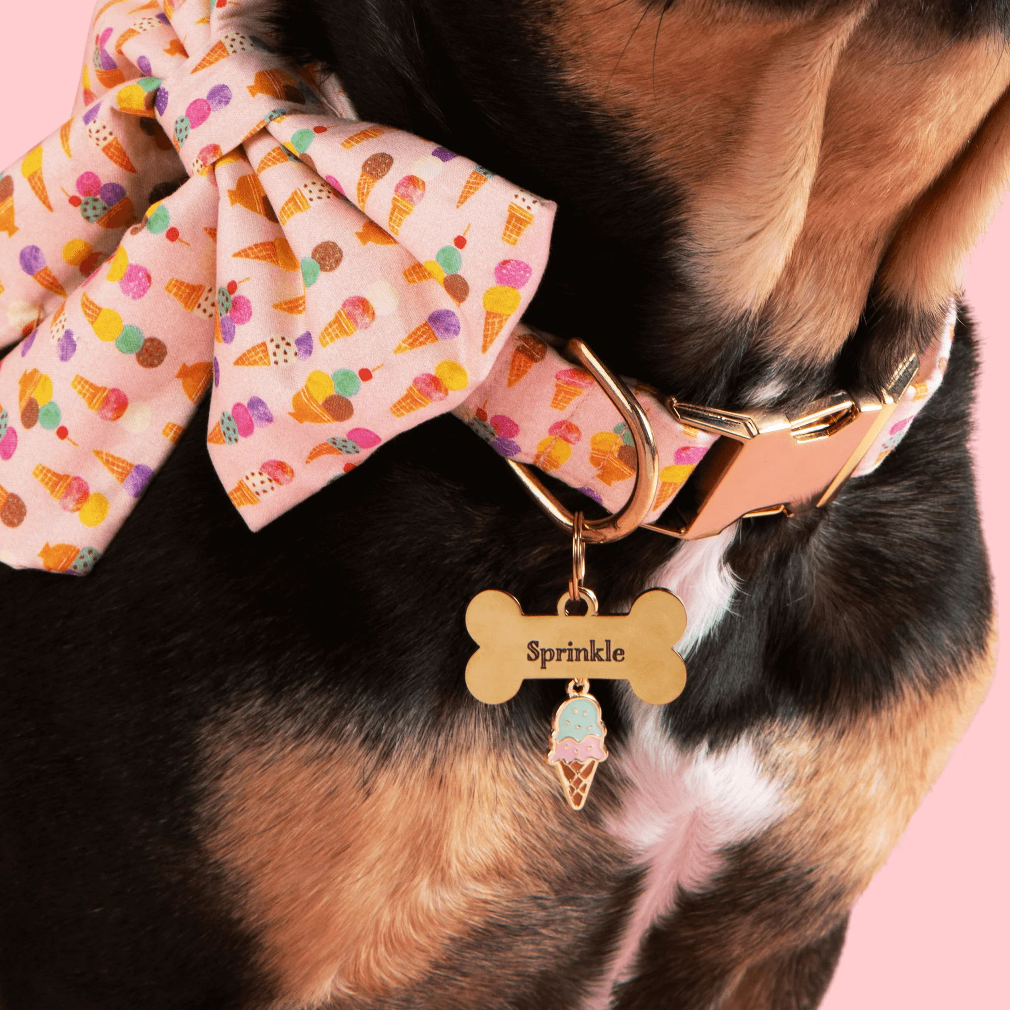 Bone Pet ID Tag - Image 9