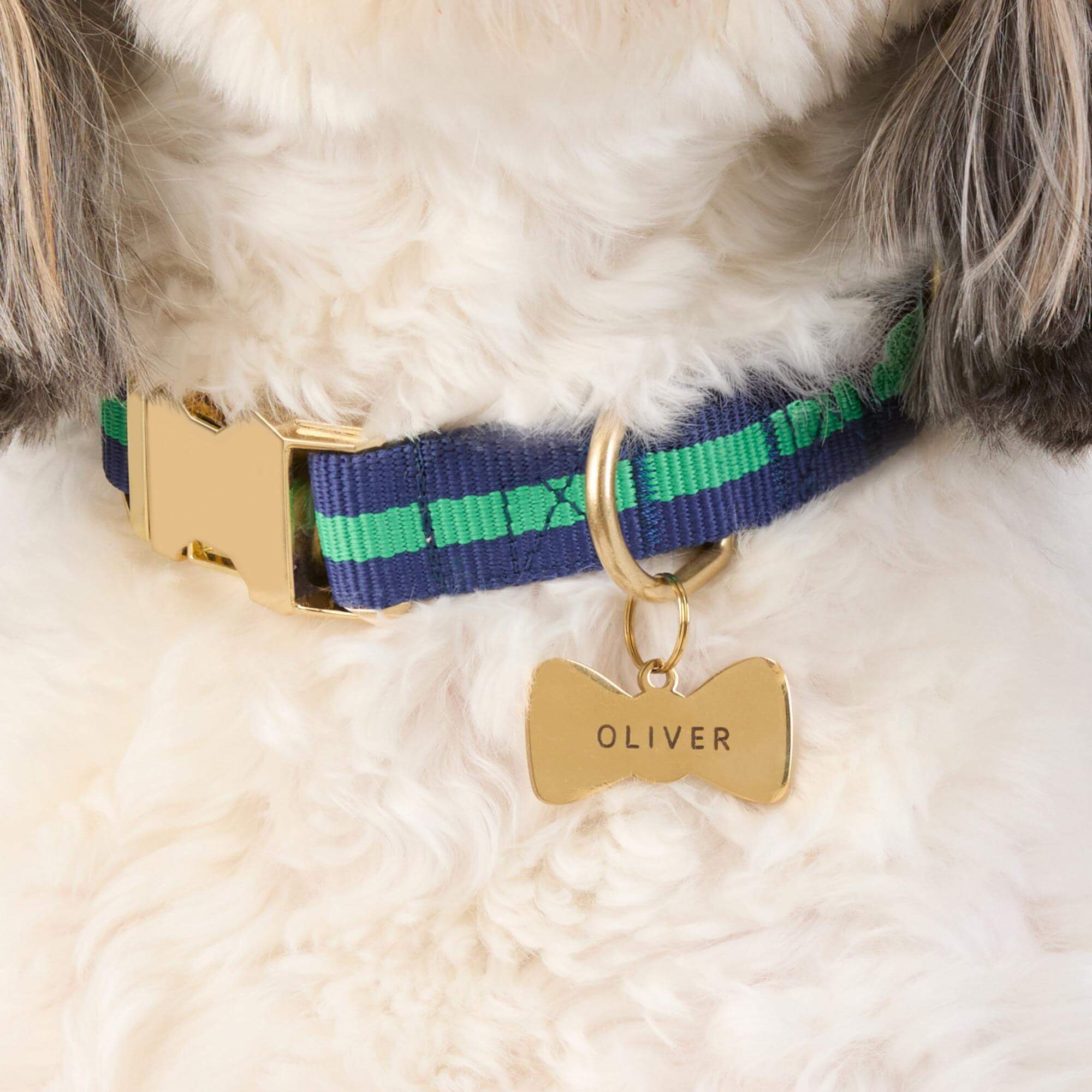 Bow Tie Pet ID Tag - Image 4