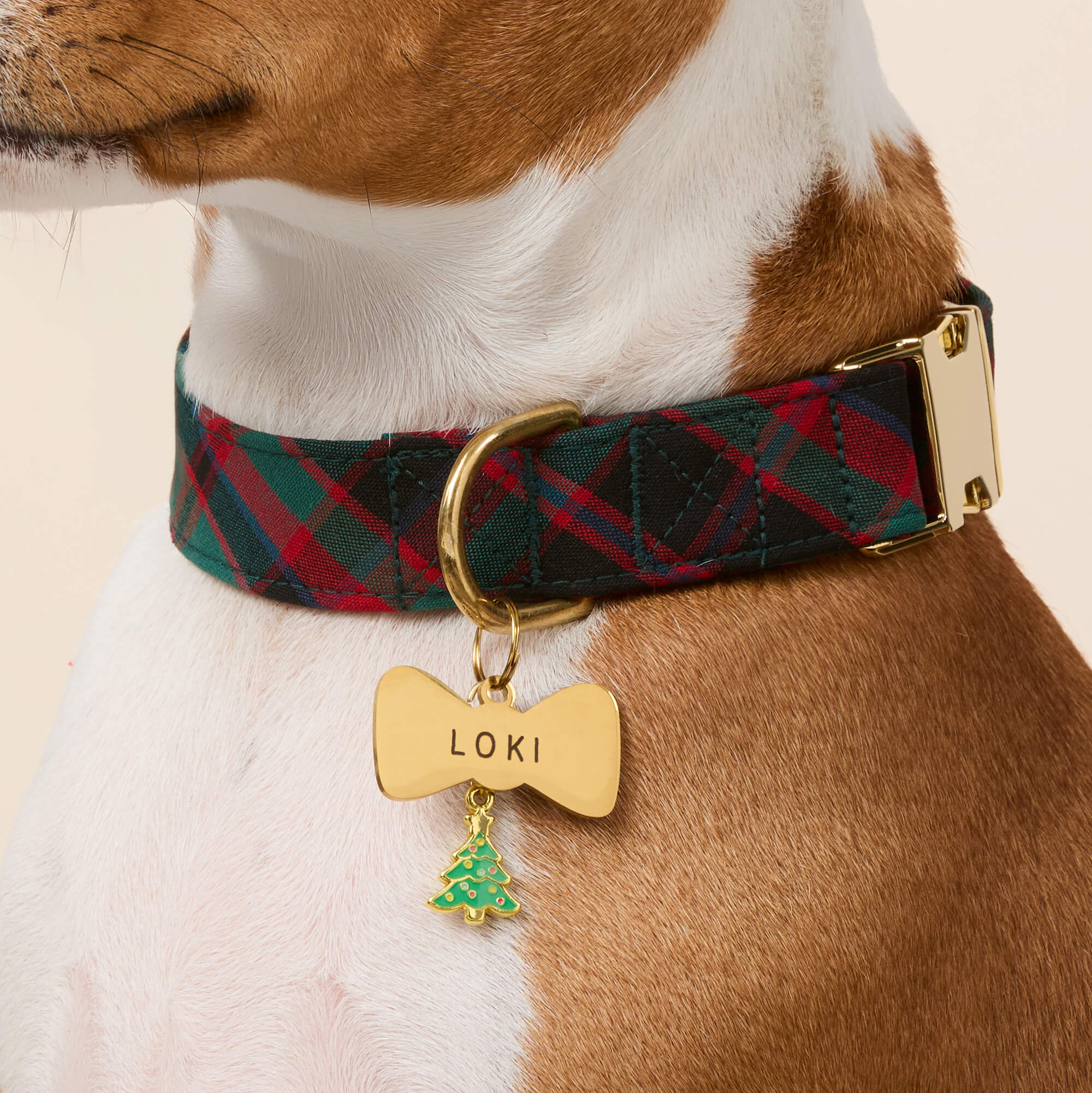 Bow Tie Pet ID Tag - Image 5