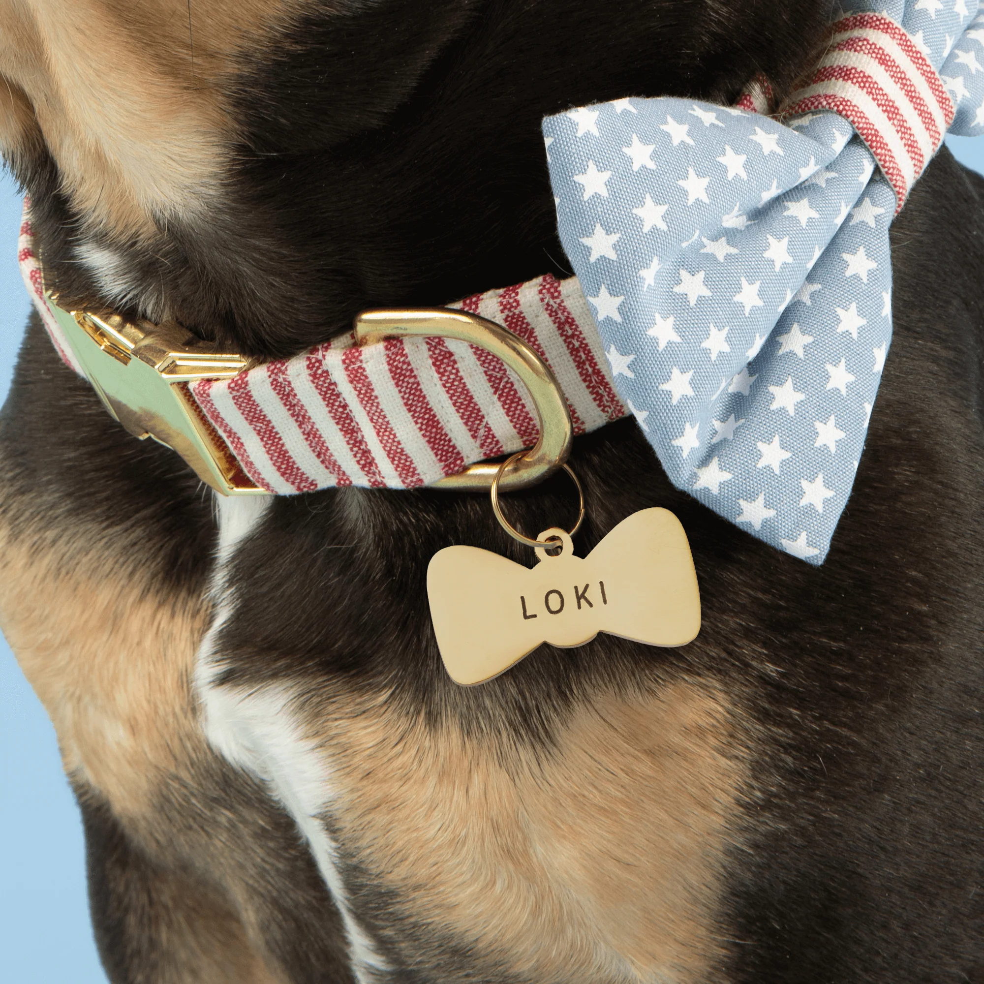Bow Tie Pet ID Tag - Image 6