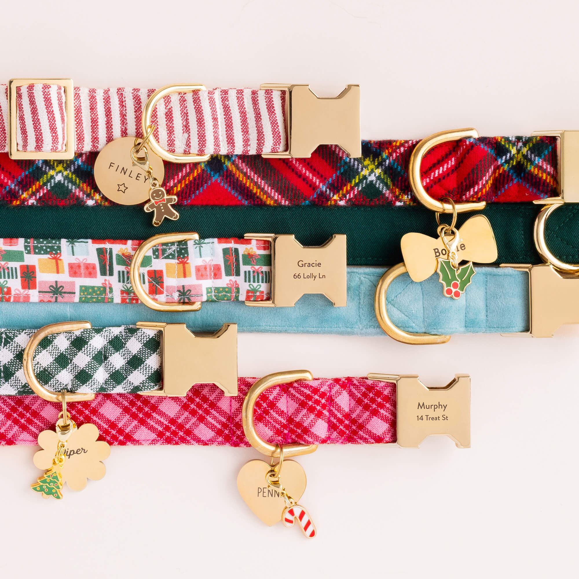 Circle Pet ID Tag: Star Icon - Image 5