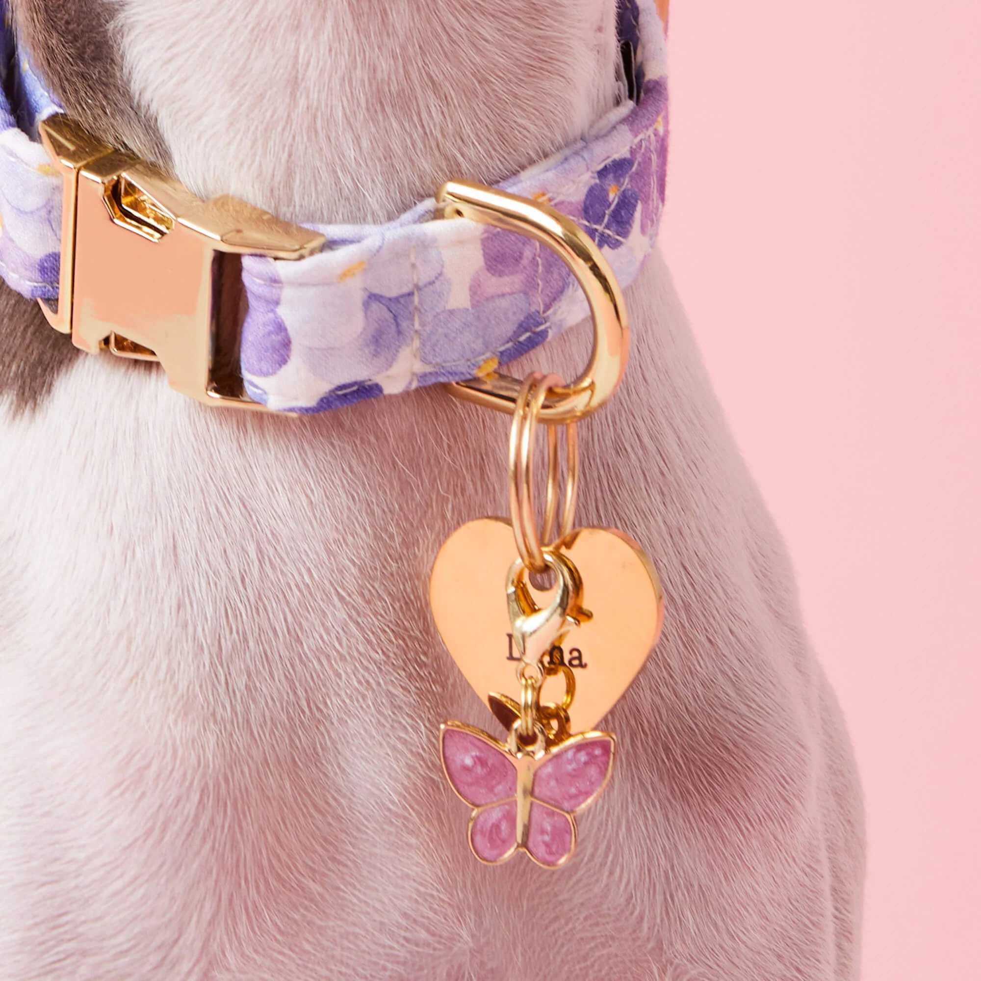 Butterfly Collar Charm - Image 3