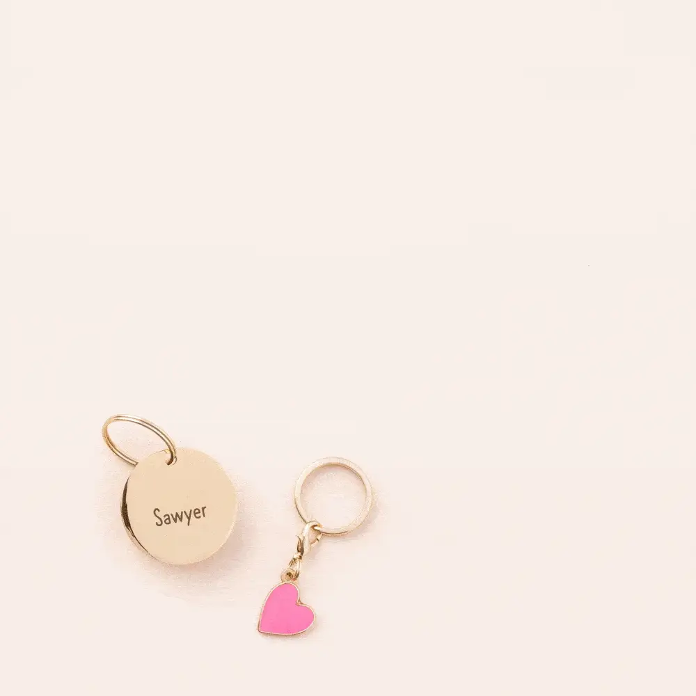 Butterfly Collar Charm - Image 9
