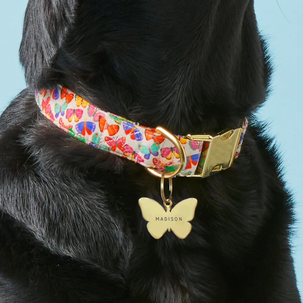 Butterfly Pet ID Tag - Image 4