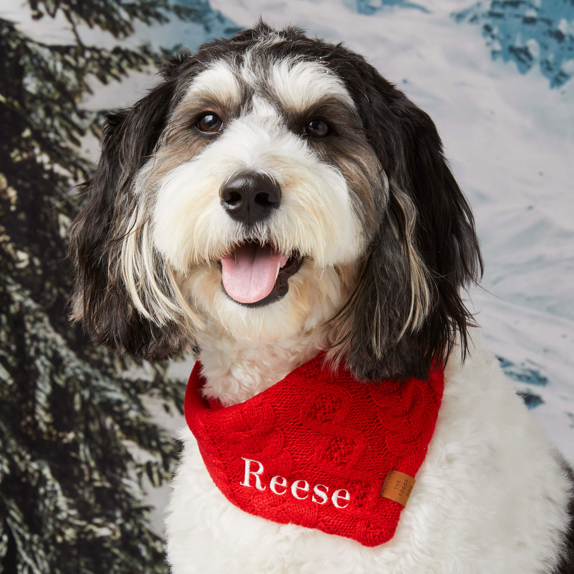 Cable Knit Dog Bandana - Image 6