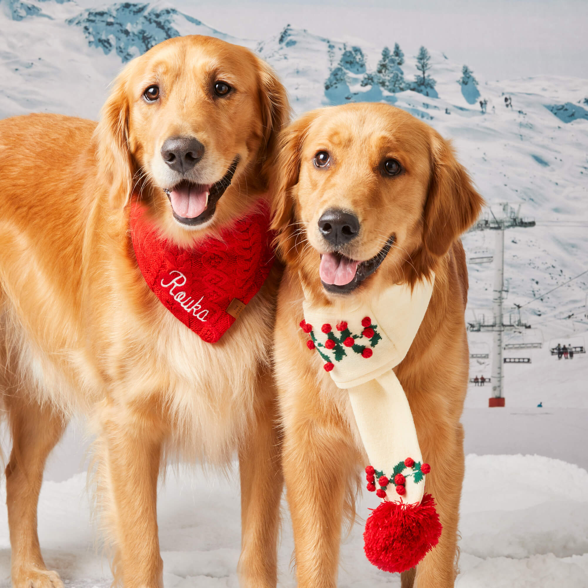 Cable Knit Dog Bandana - Image 8