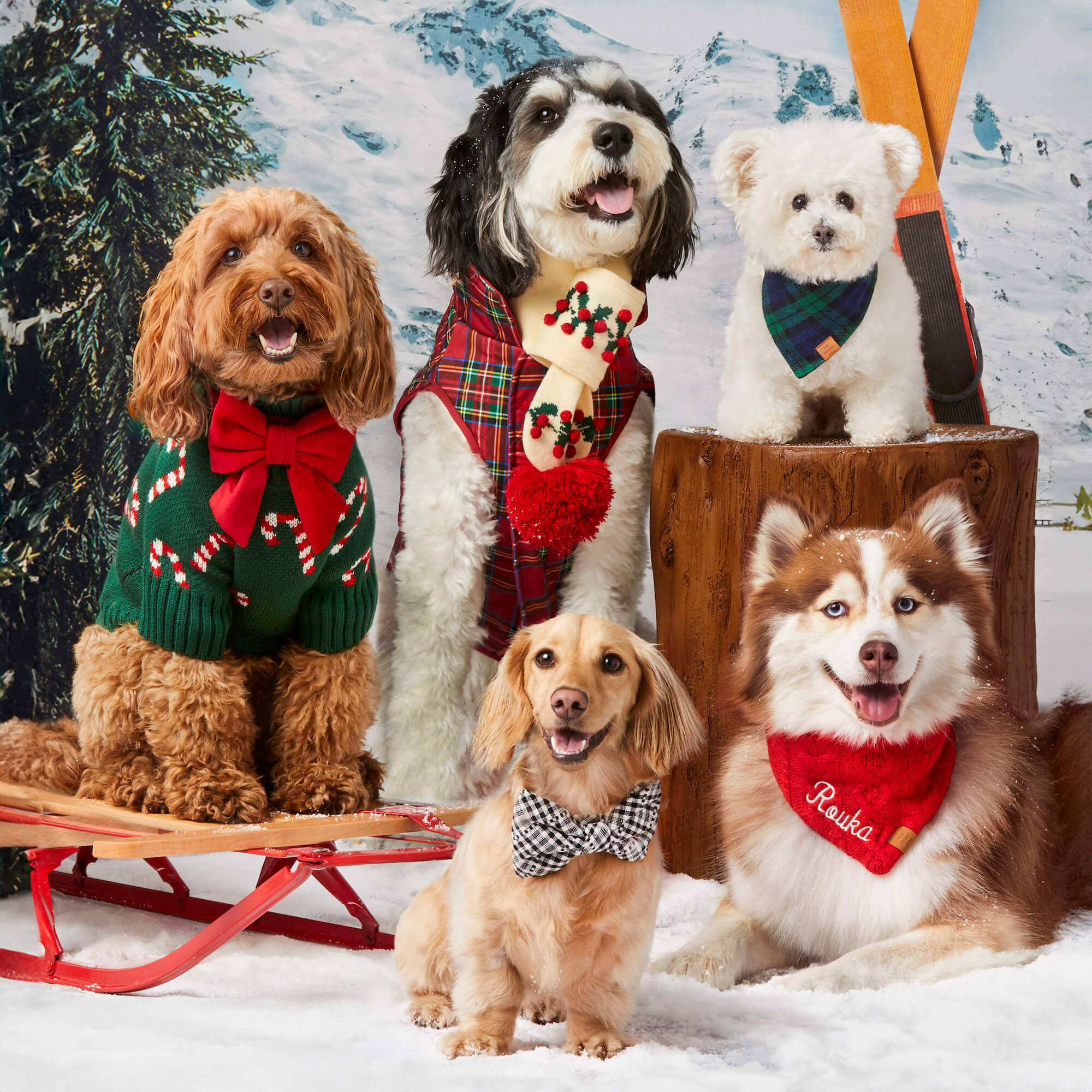 Cable Knit Dog Bandana - Image 9