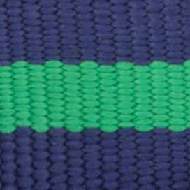 Camden Striped Webbing Collar Walk Set - Image 5