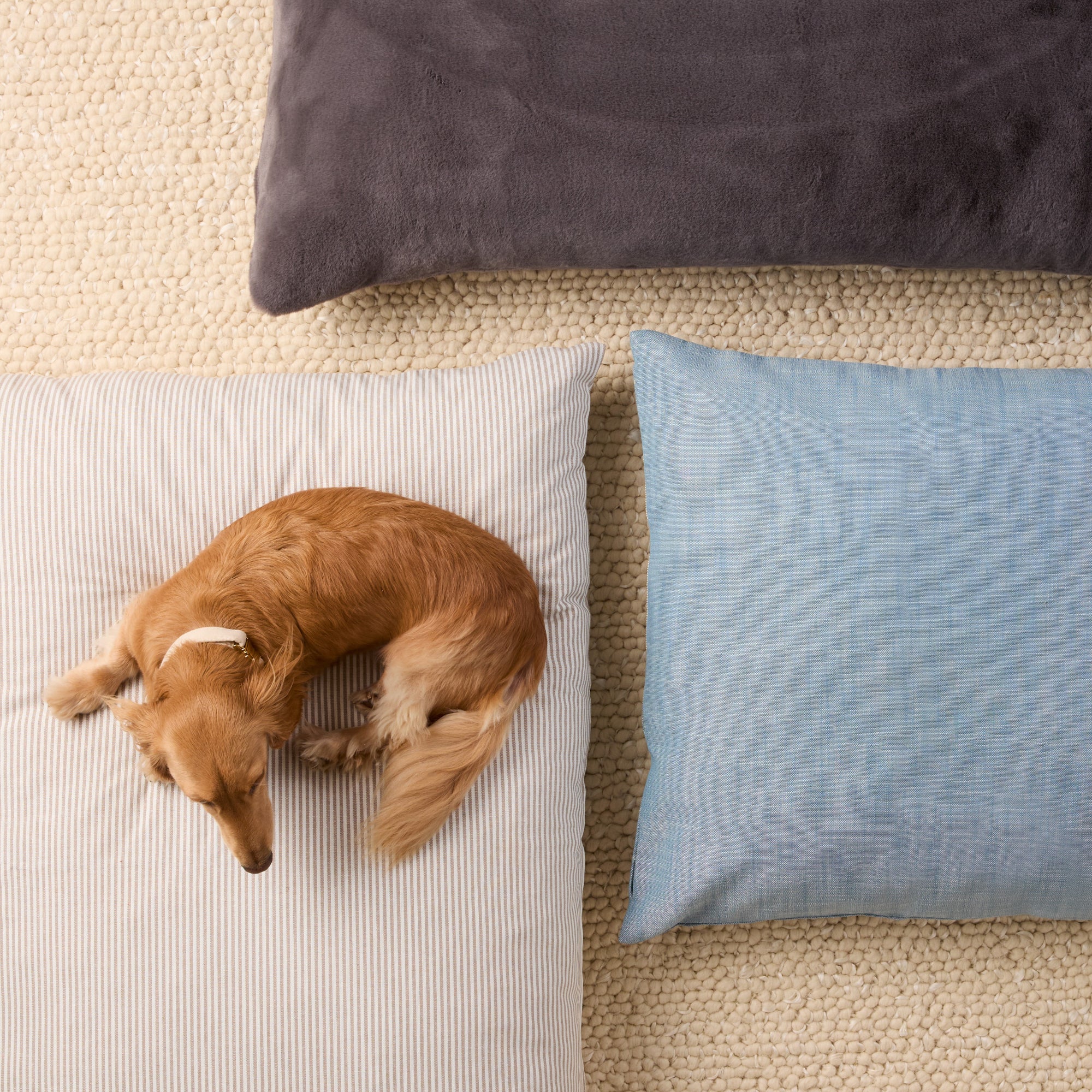 Chambray Blue Dog Bed - Image 8