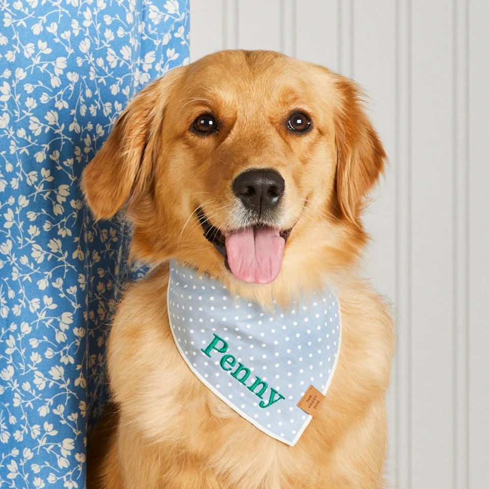 Chambray Dots Dog Bandana - Image 3