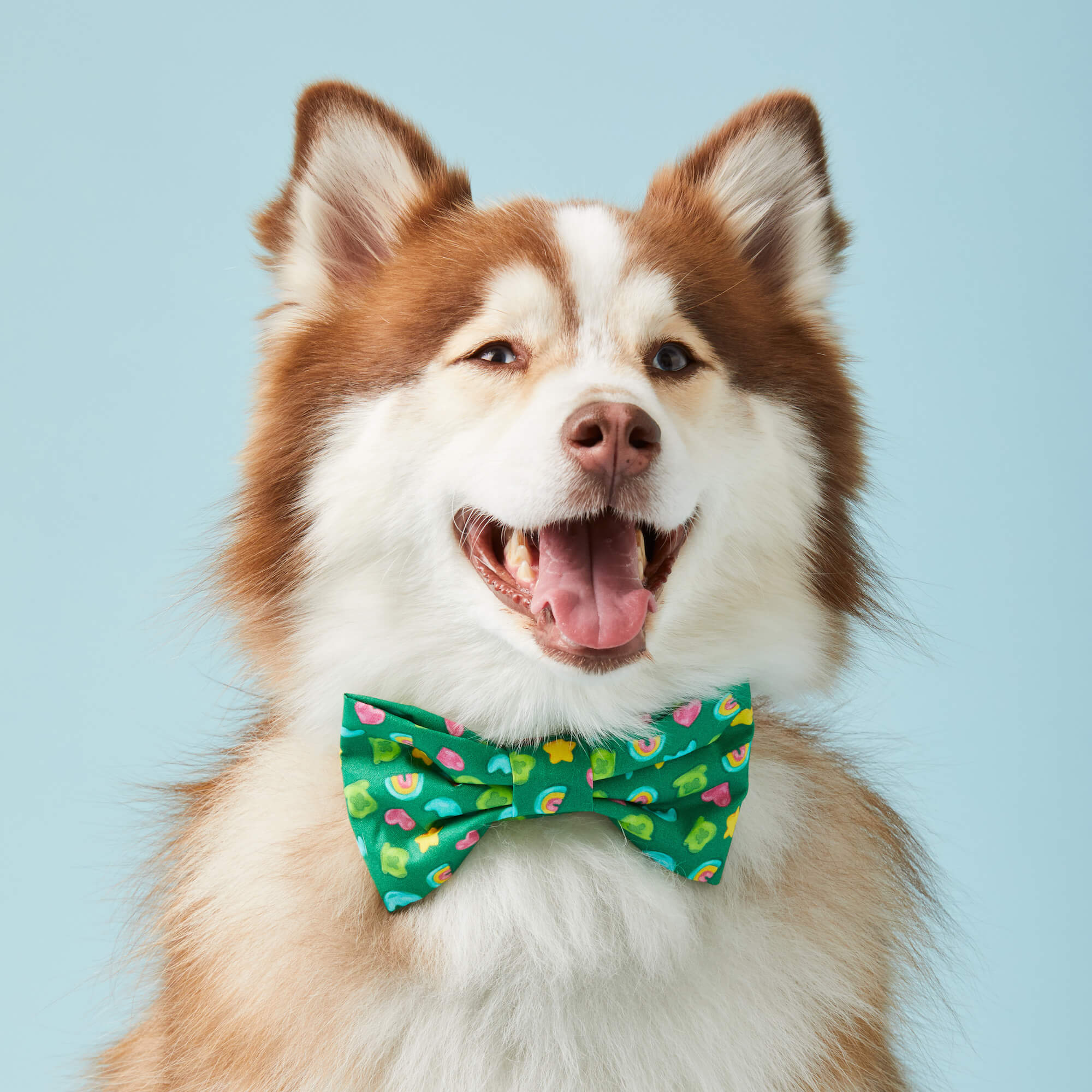 Charmed Bow Tie Collar - Image 5