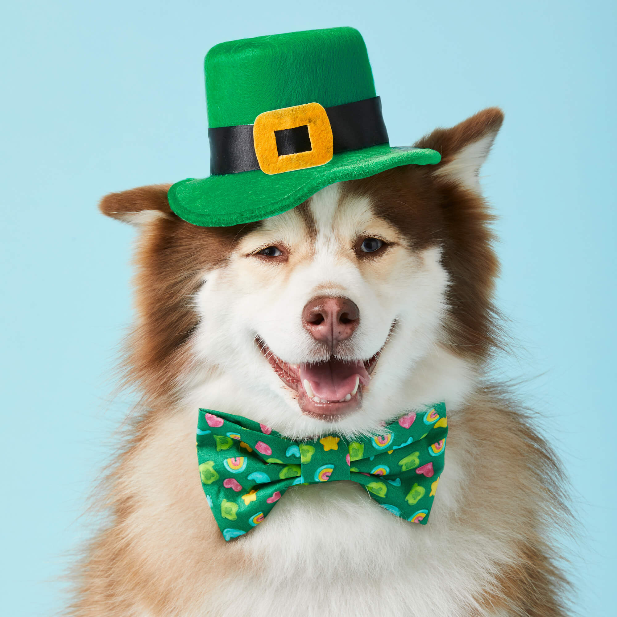 Charmed Dog Bow Tie - Image 3