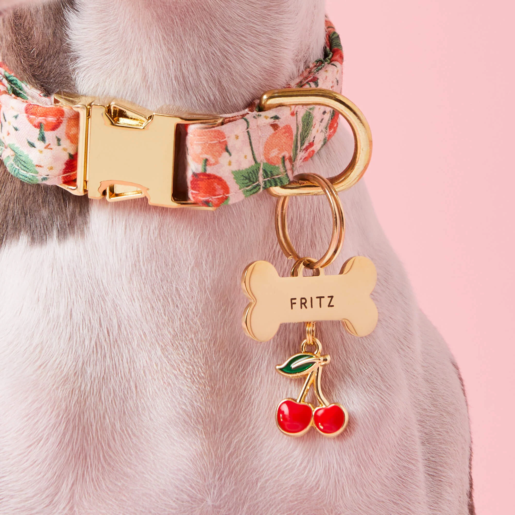 Cherries Collar Charm - Image 3