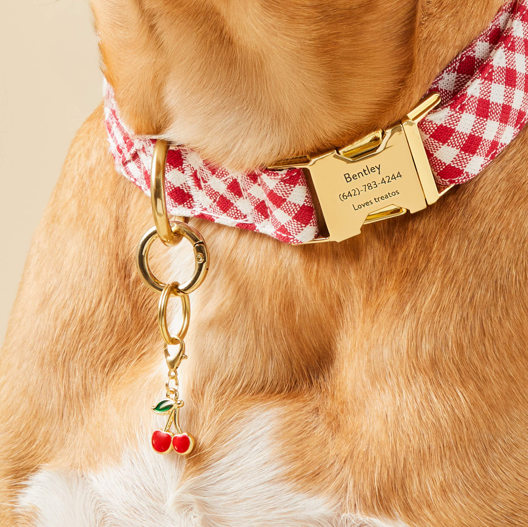 Cherry Blossom Collar Charm Set - Image 6