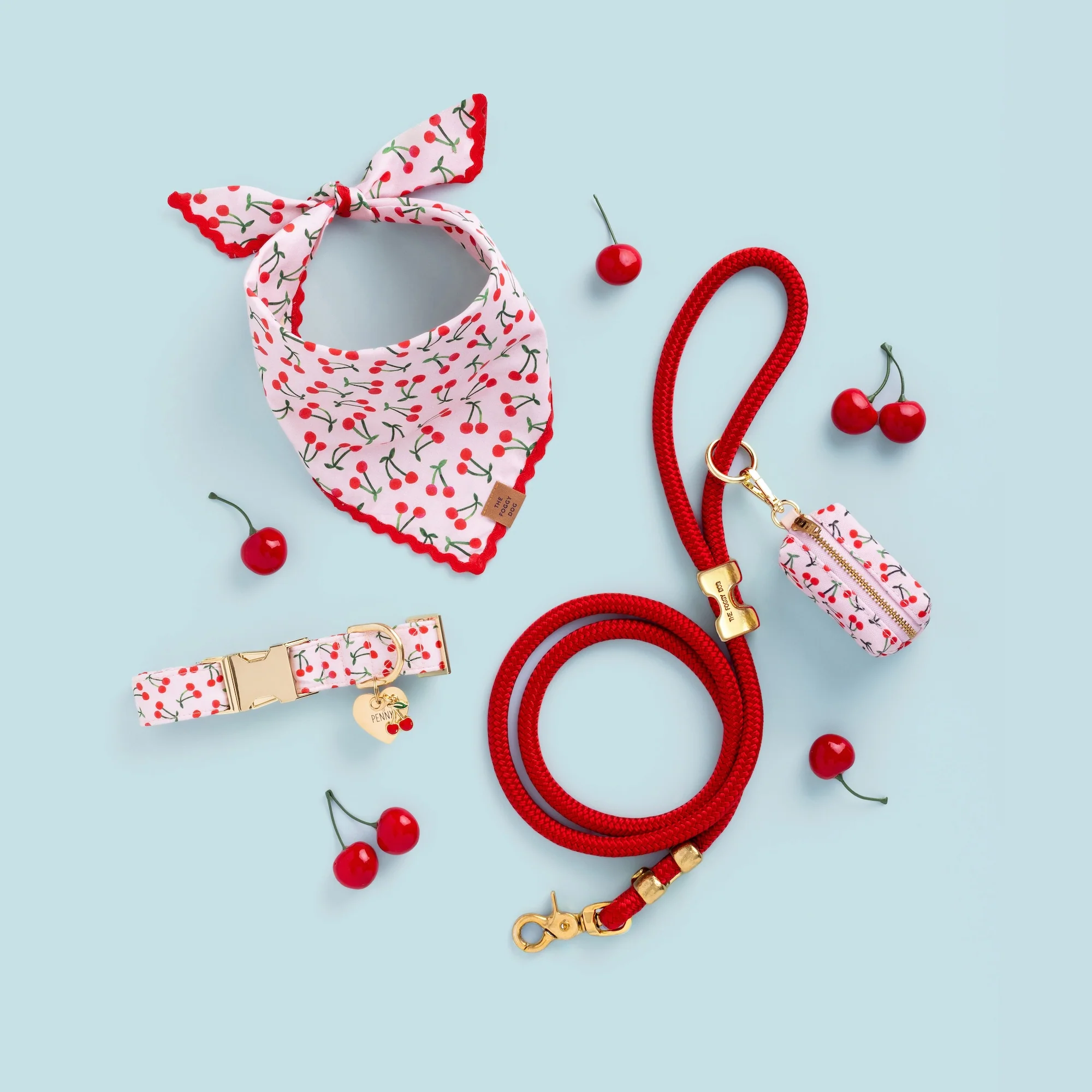 Cherry Jubilee Collar Walk Set - Image 5