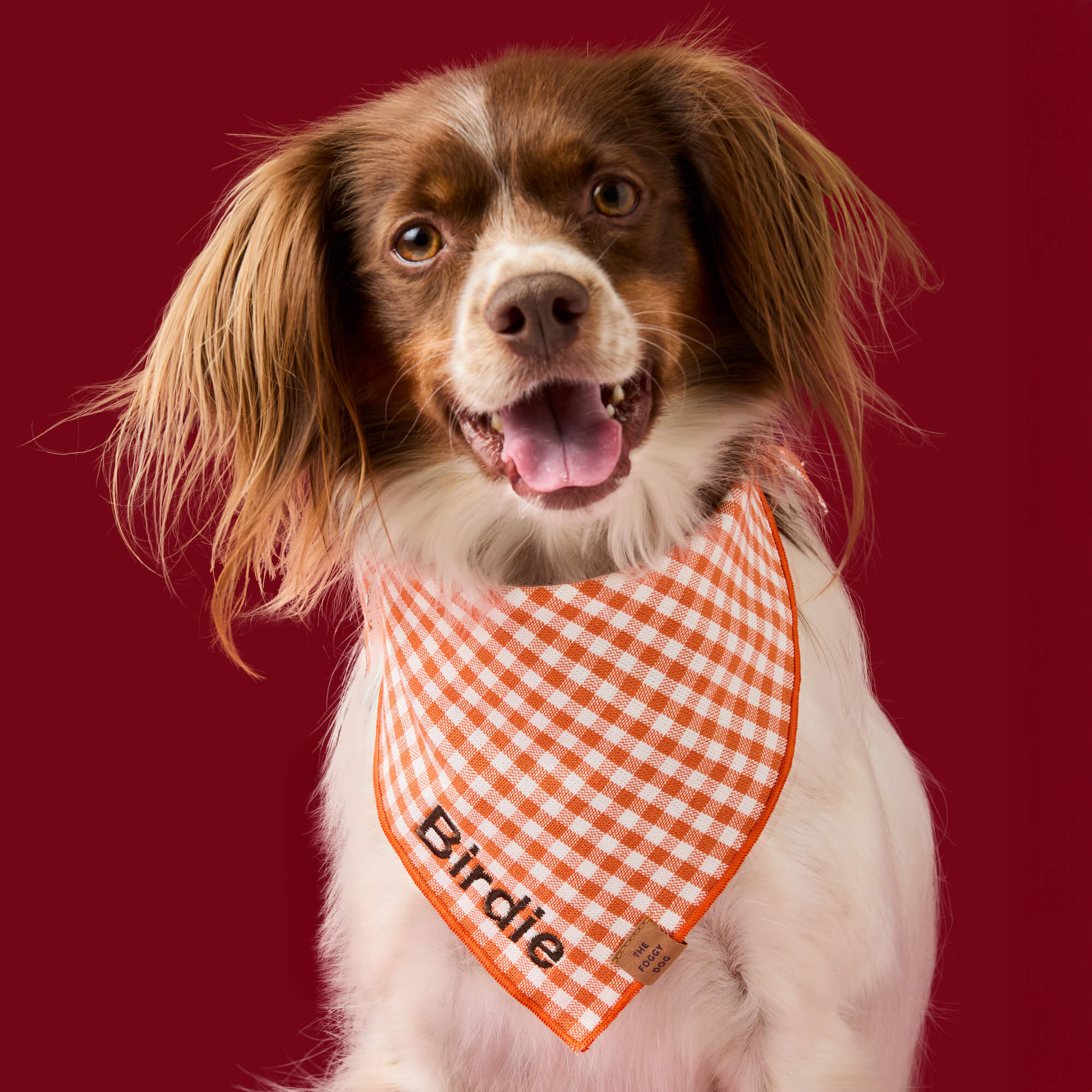 Cider Gingham Dog Bandana - Image 3