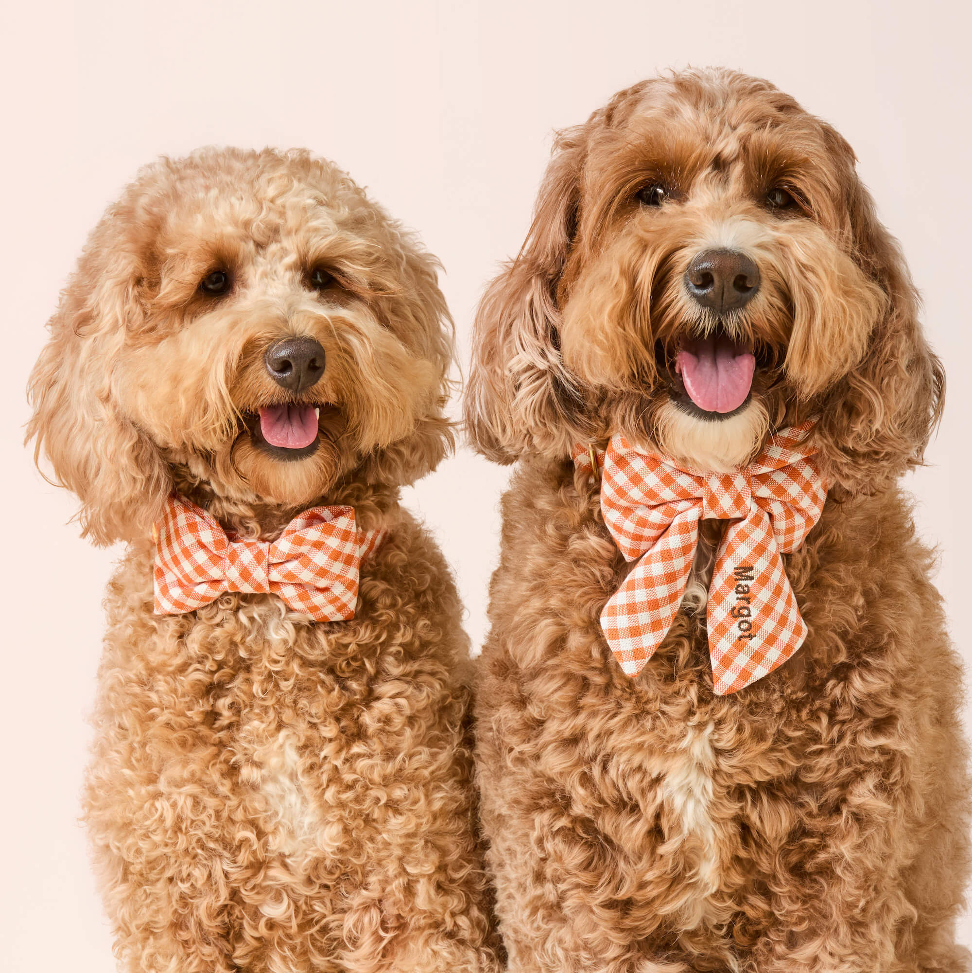 Cider Gingham Lady Bow Collar - Image 4