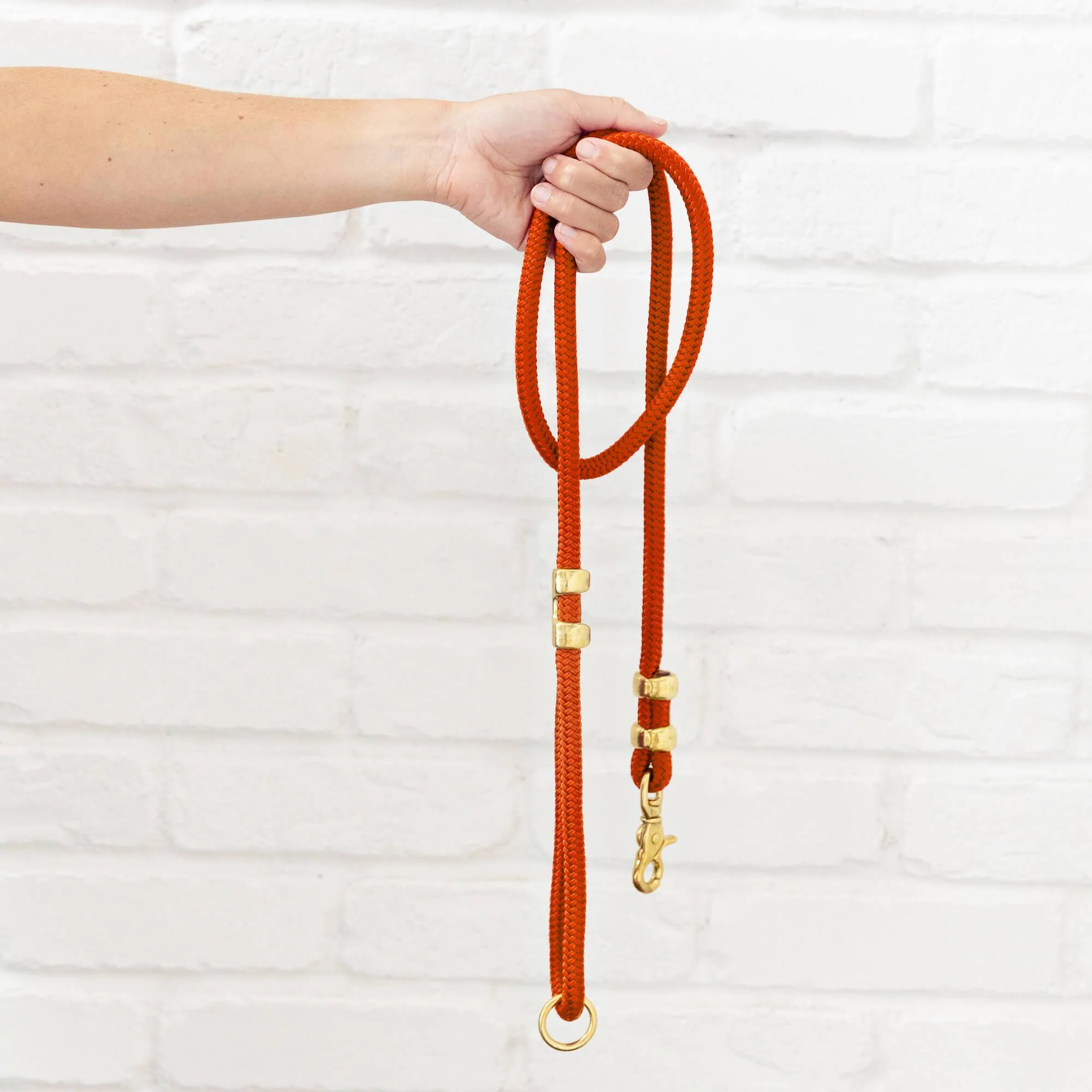 Cider Marine Rope Dog Leash - Image 3
