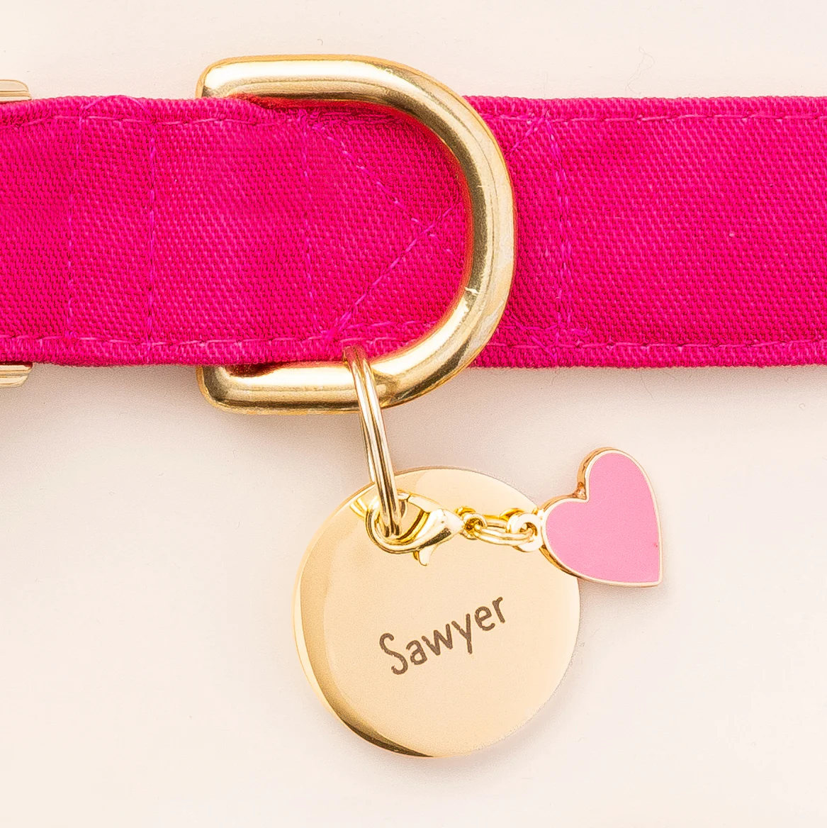 Circle Pet ID Tag - Image 12